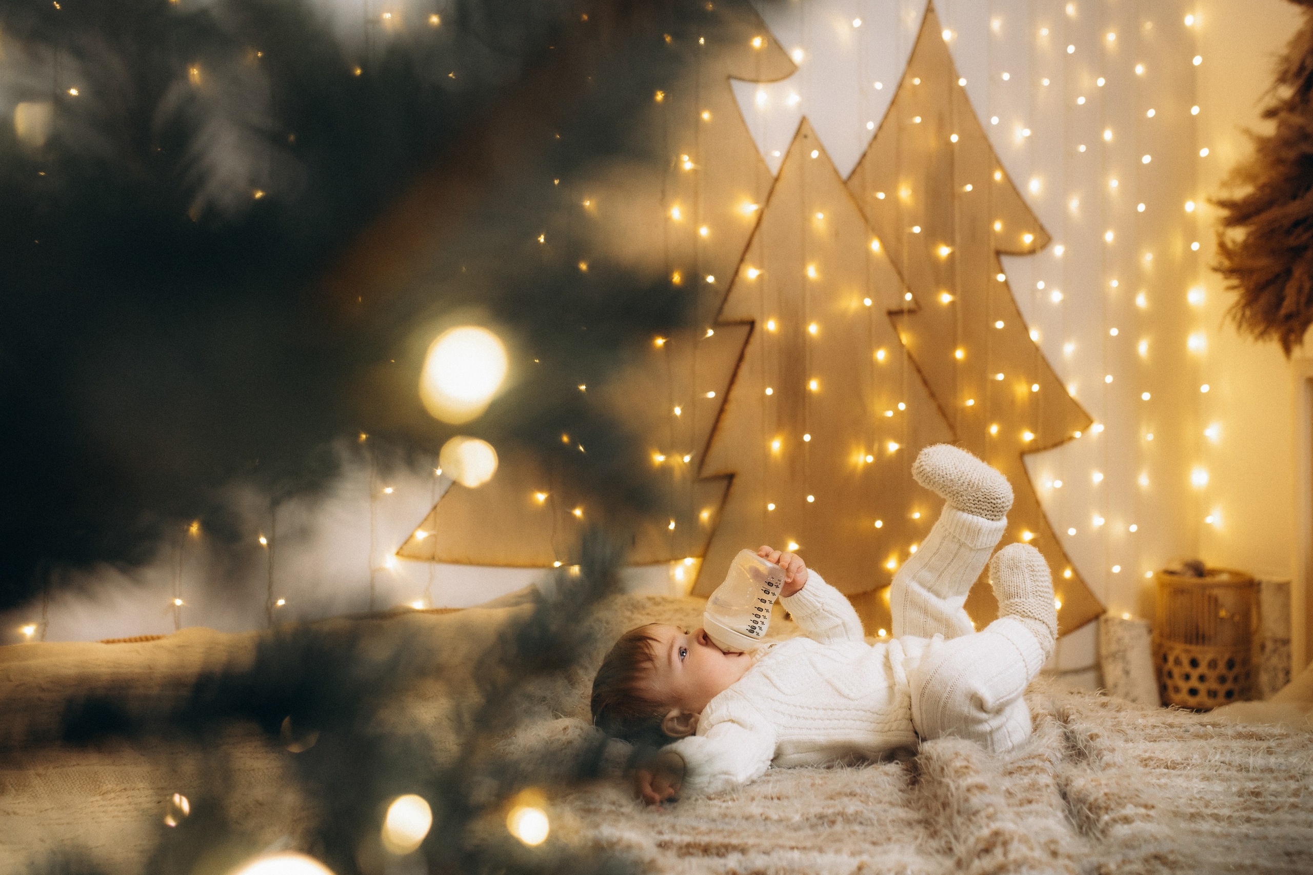 Holiday Season. Home