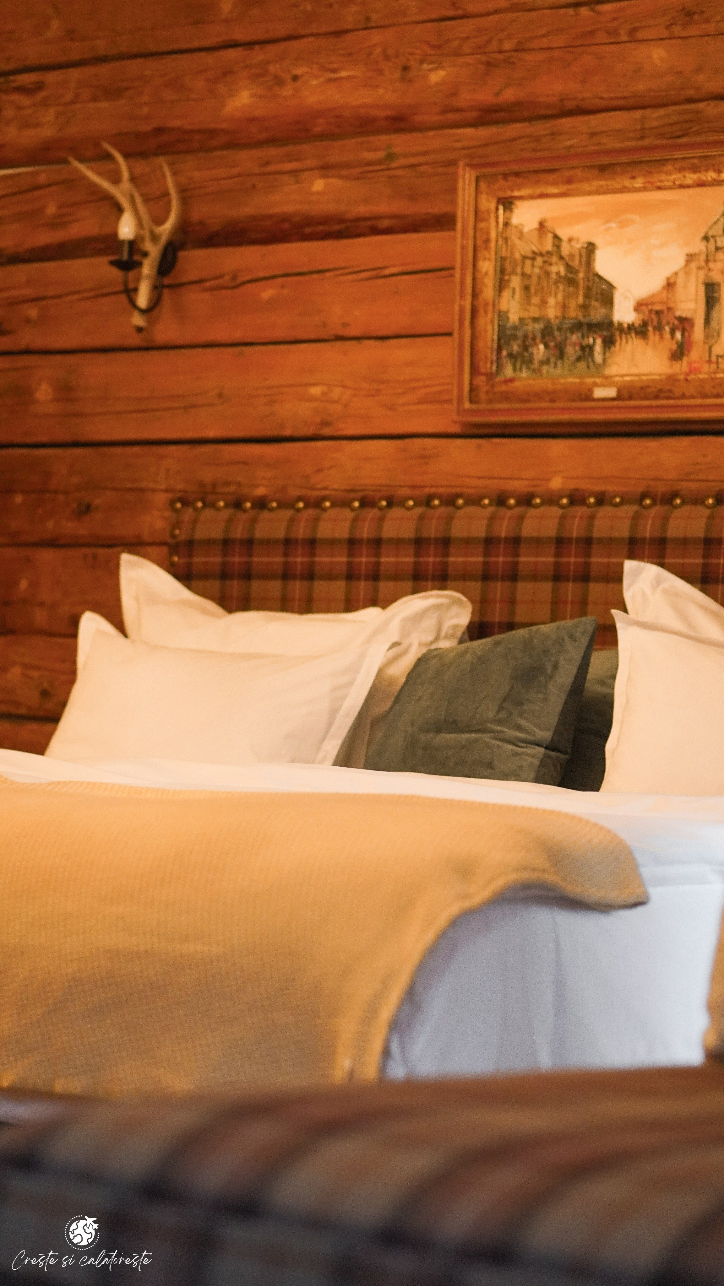 Bransilvania. Creste si calatoreste