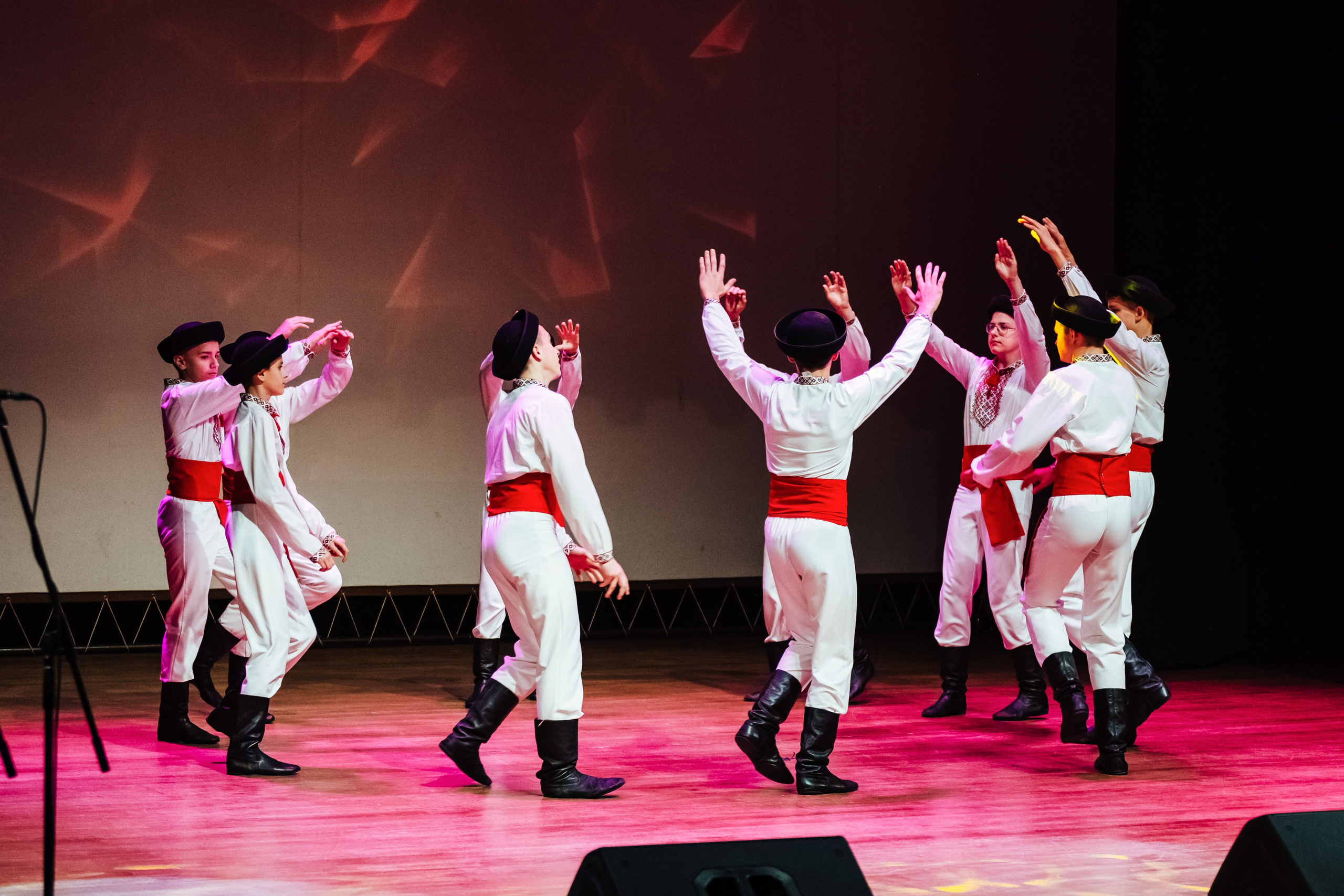 Traku kulturos centro koncertas. OnePIXEL