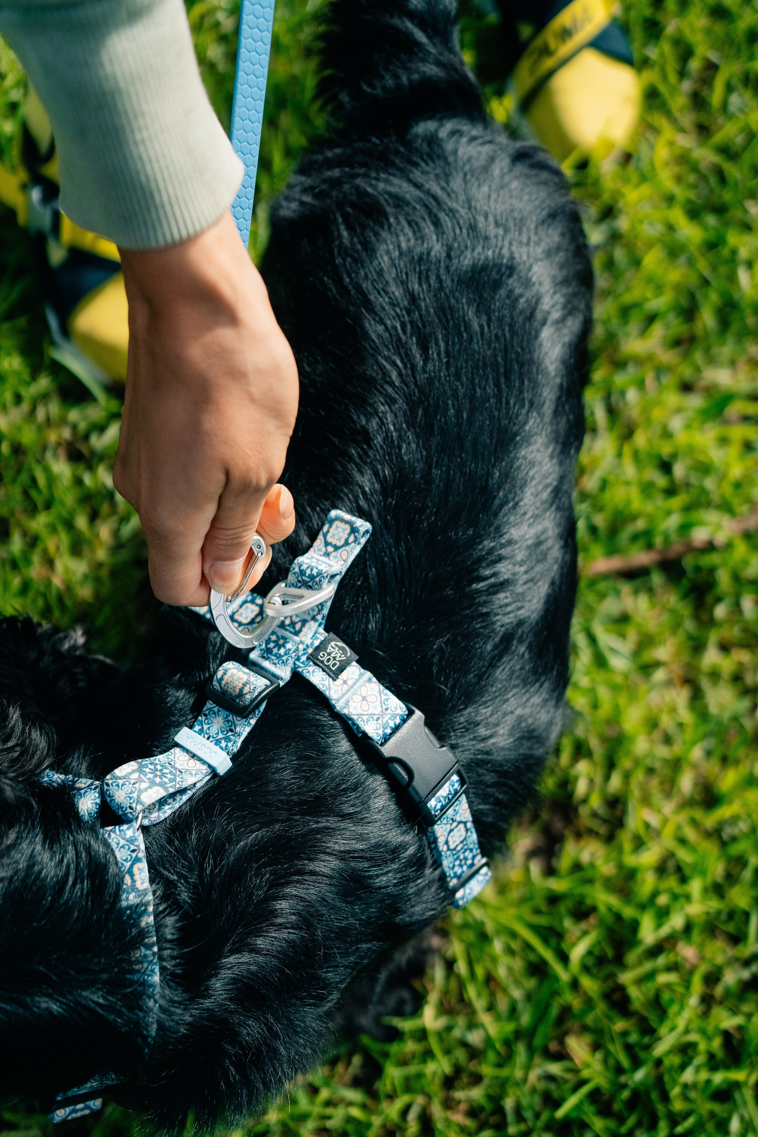 Dogma. Maria Sher. Fotógrafa profissional do Porto, Portugal