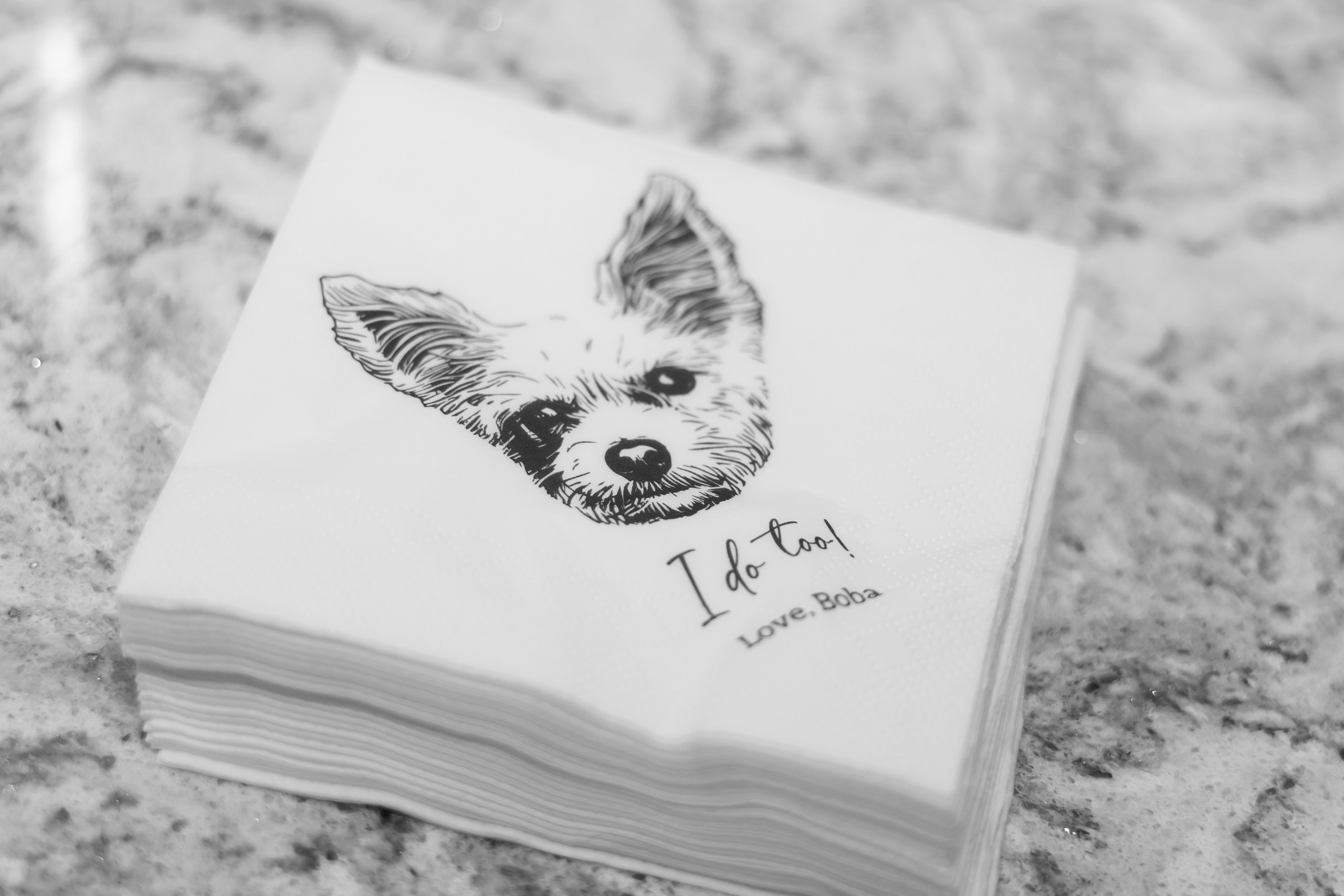 Anna & Gary at The Palace at Somerset Park, NJ. Wedding Photo & Video