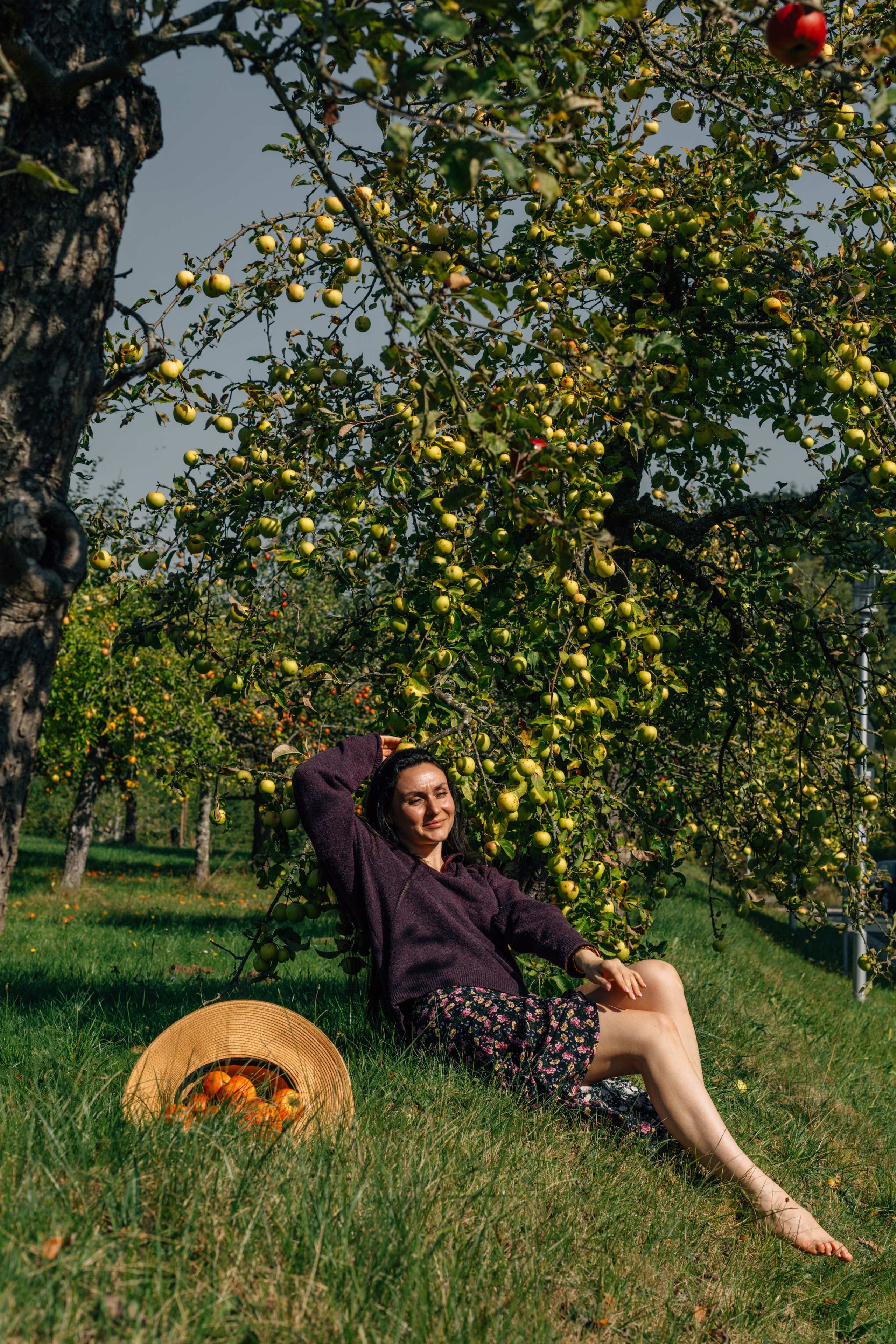 In Garten. PHOTOgrapher Germany MARBURG