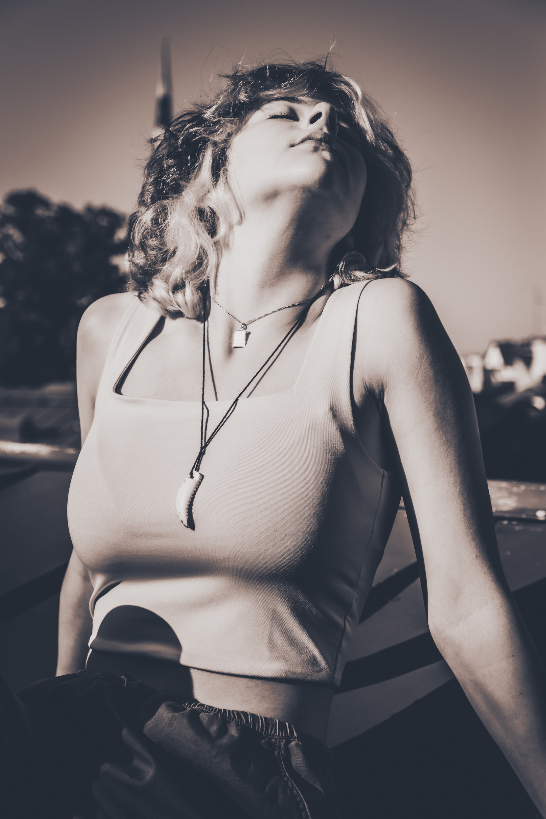 Lahe graatsia (Sonja). Nebula 25 — Fotod teie hingele