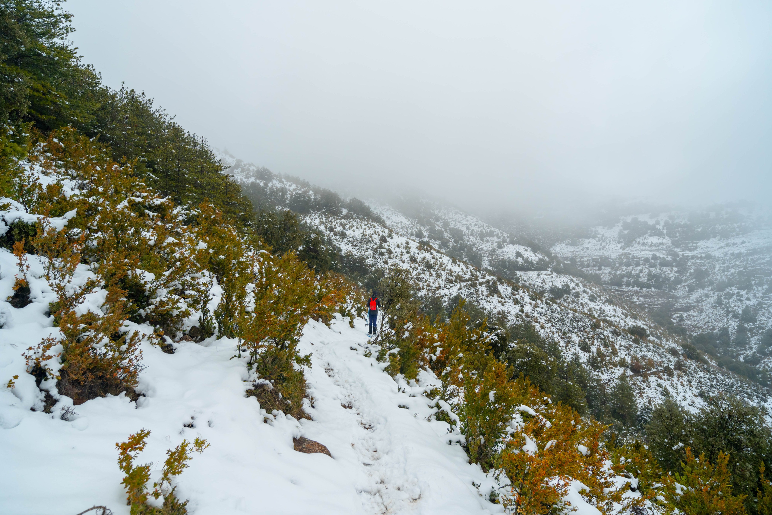 Pueblo abandonado de Montsor nevado. Alba del Norte Studio