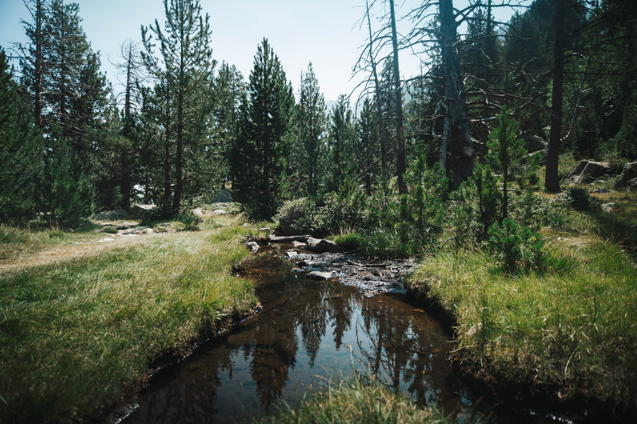 Parque Nacional de Aigüestortes y Estany de Sant Maurici. Alba del Norte Studio