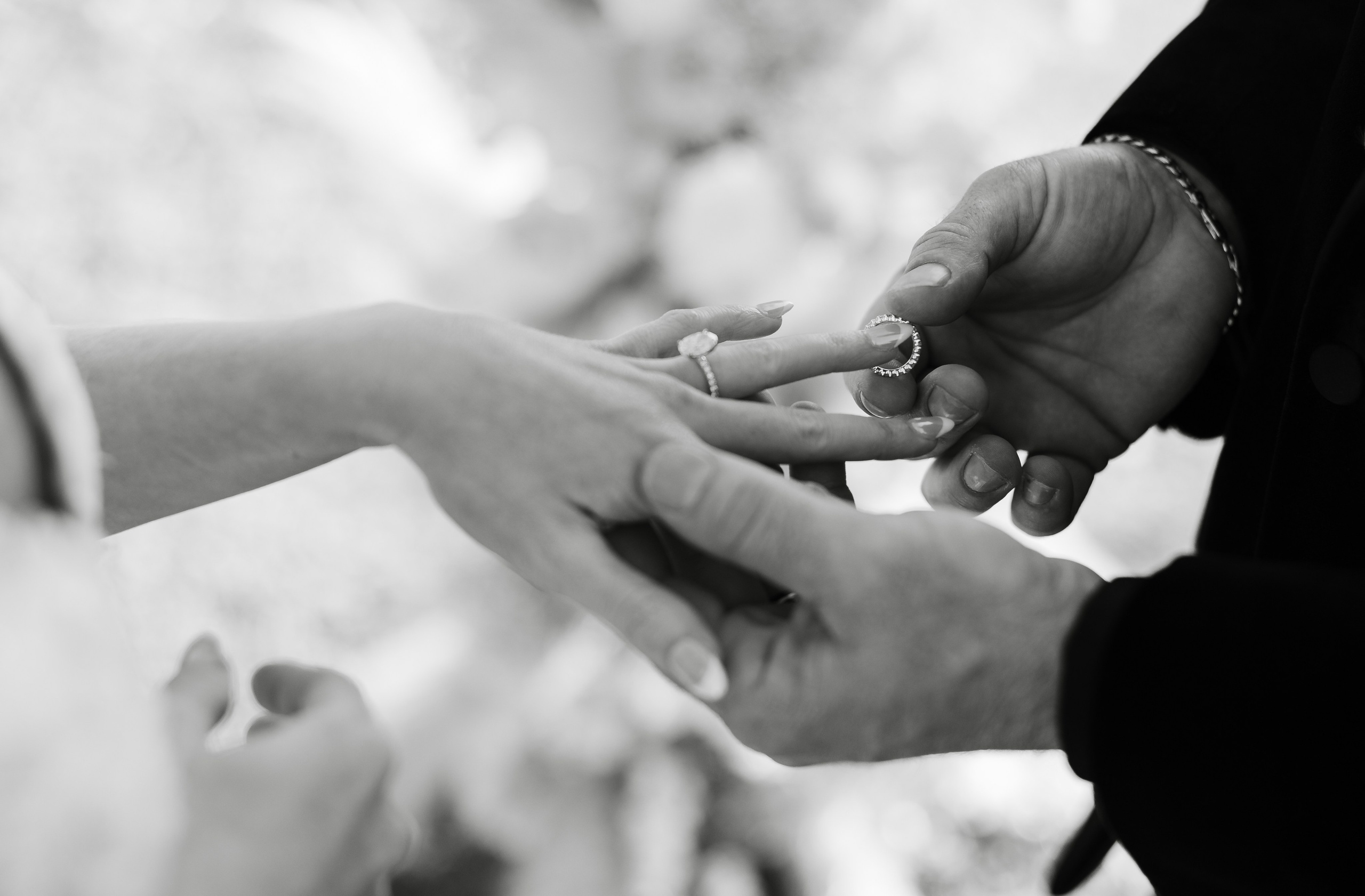 A Quiet, Beautiful Beginning | Kayla & David’s Intimate Weston Estate Wedding. YES I DO PRODUCTION — Wedding photography&videography