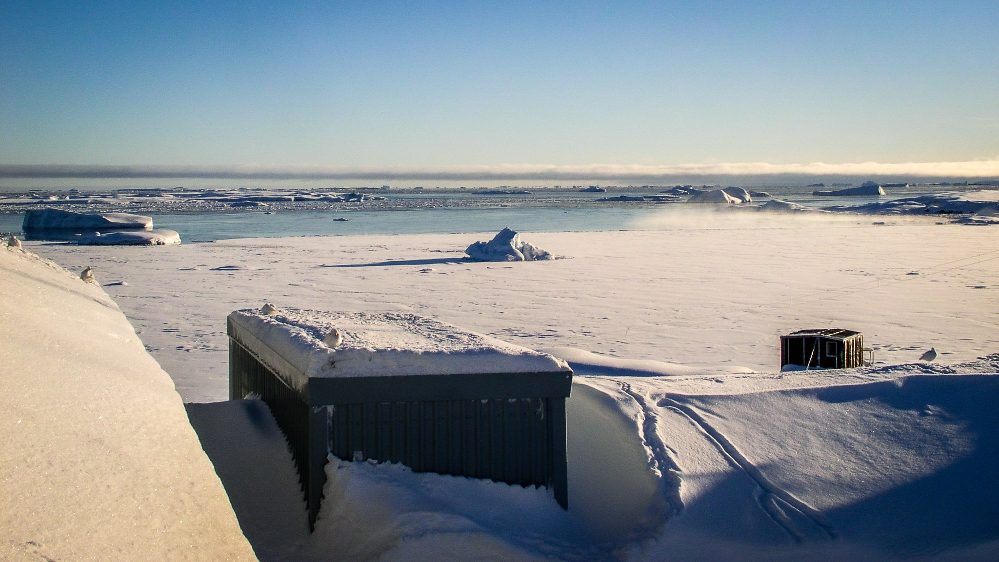 ANTARCTICA / 2004. Reportage concert portrait photography in the San Francisco Bay Area