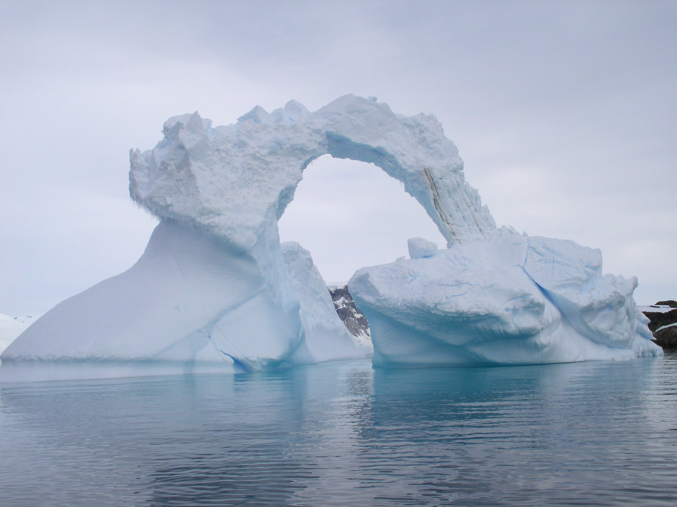 ANTARCTICA. Reportage concert portrait photography in the San Francisco Bay Area