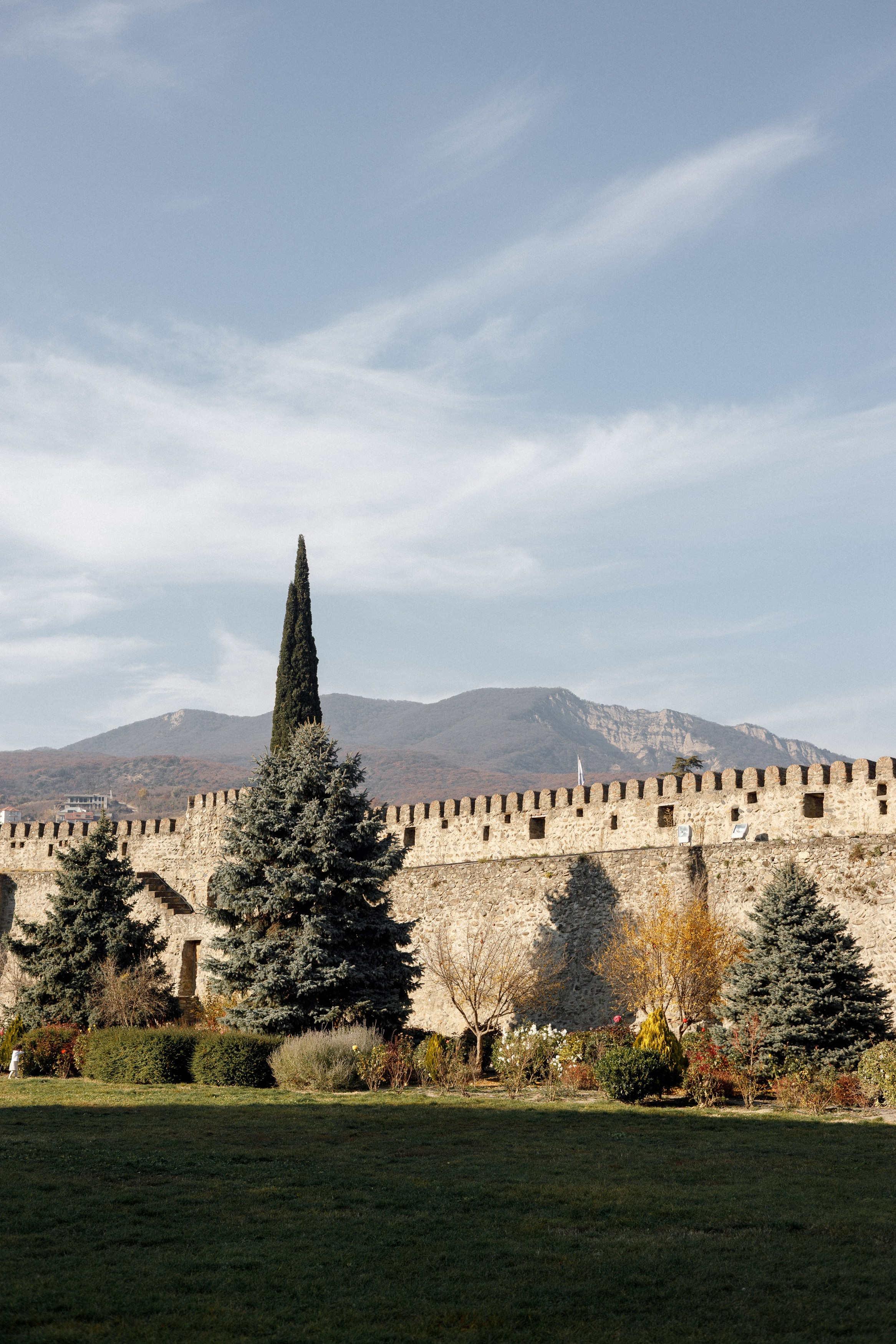 Veronica. Art Event Studio — top-rated wedding agency in Georgia