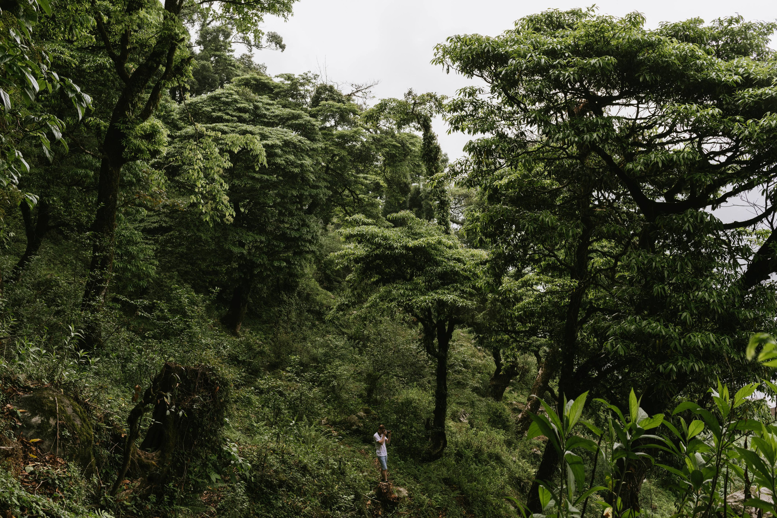 Nepal. Artjom Kutuzov Photography