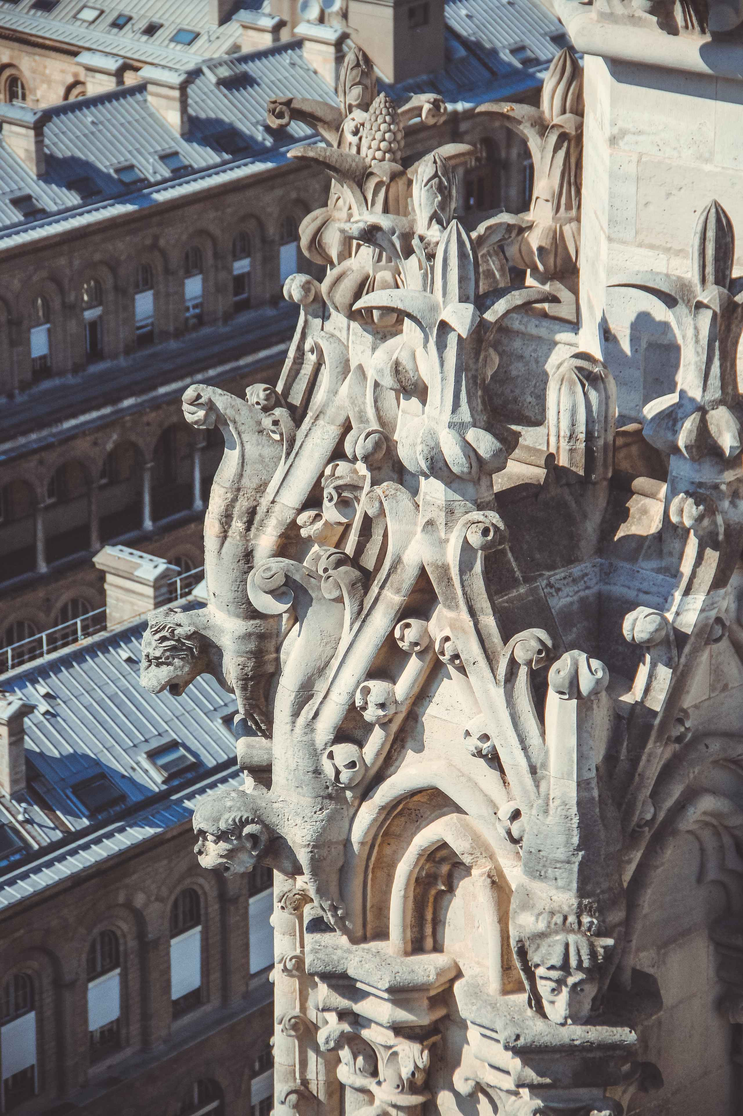 Увидеть Париж десять лет спустя. Фотограф в Германии — Мария Чистякова