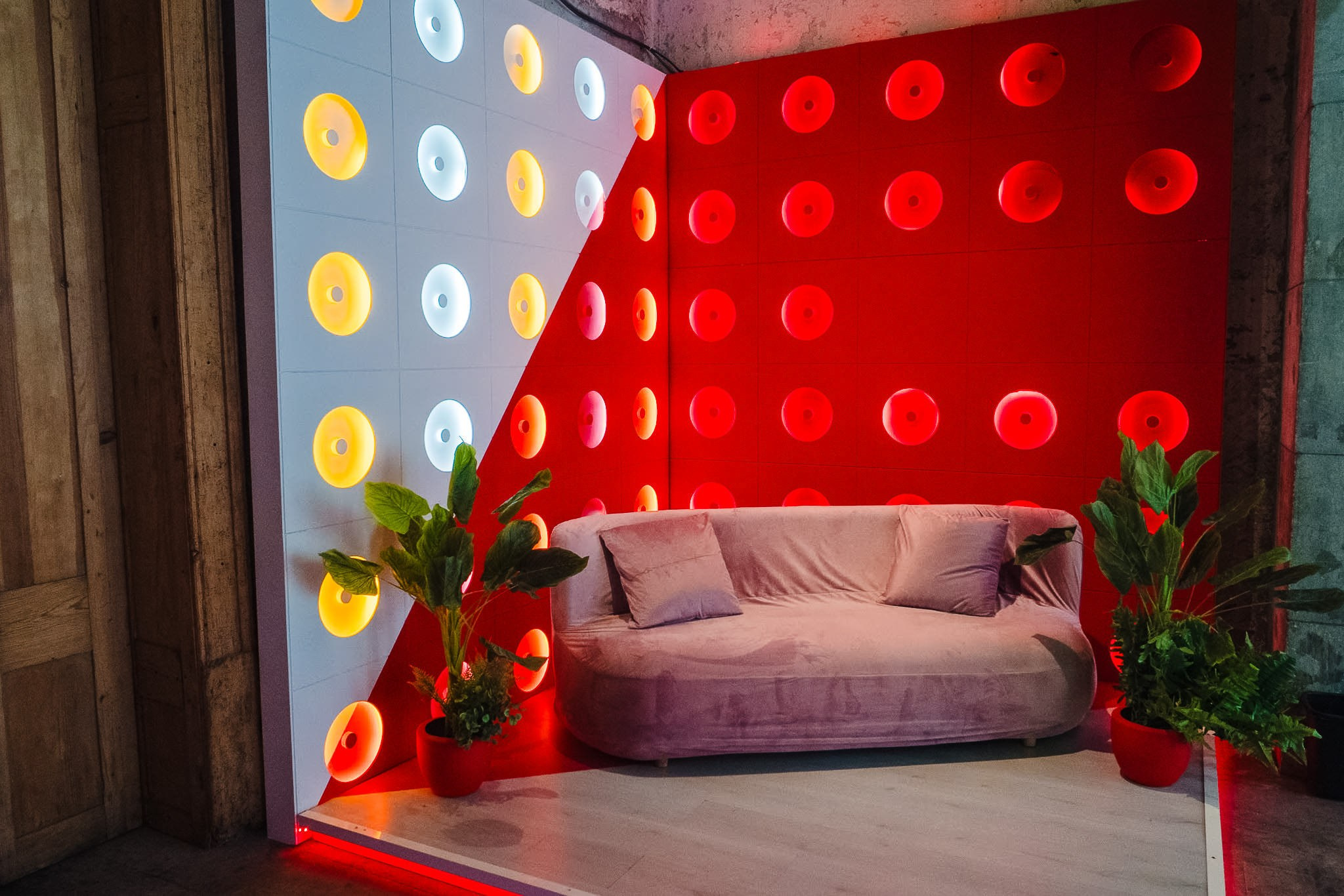 Dermacamp / Chapulin Agency. Wedding and family photographer in Mexico City