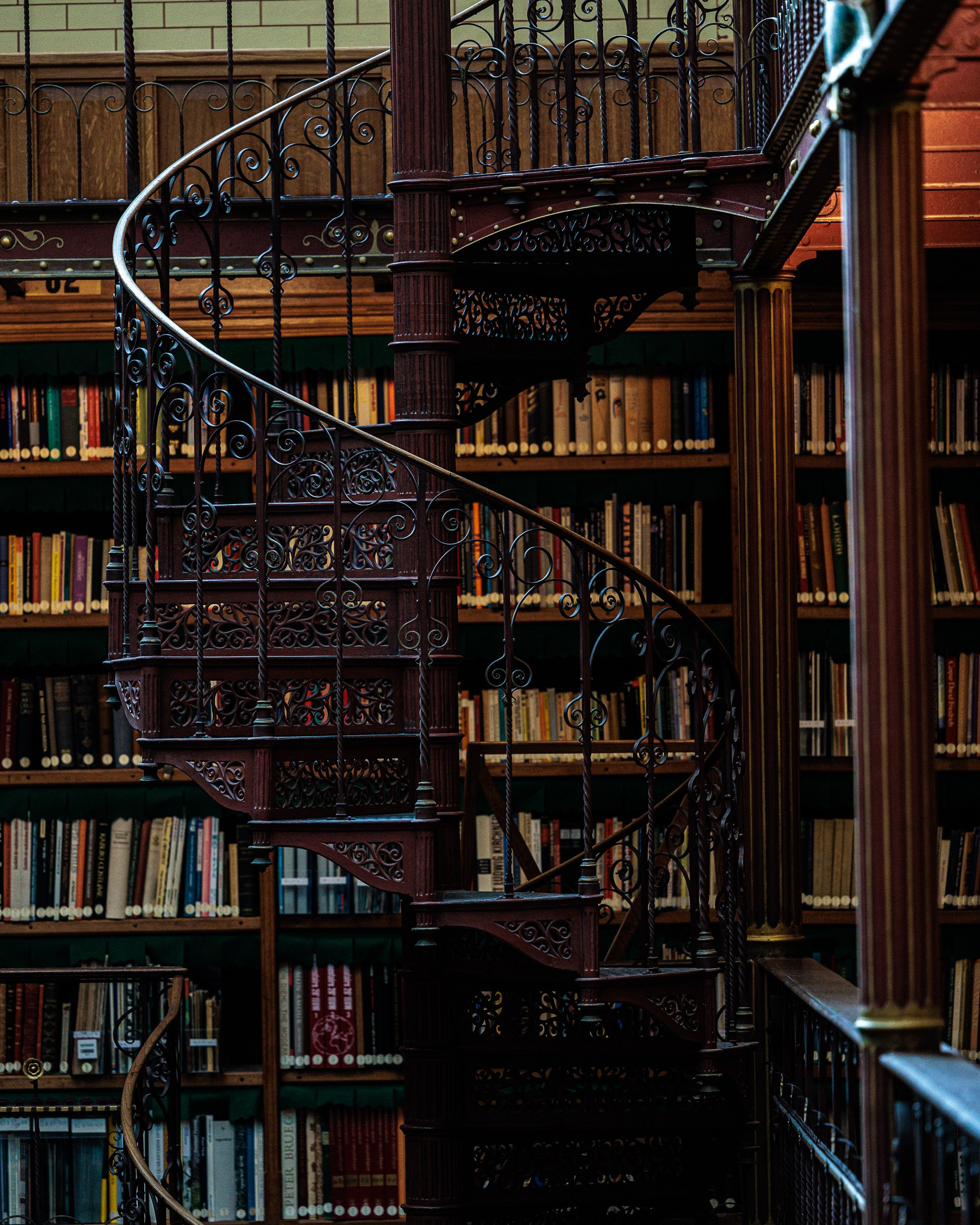 Olanda. Marius Ciocan