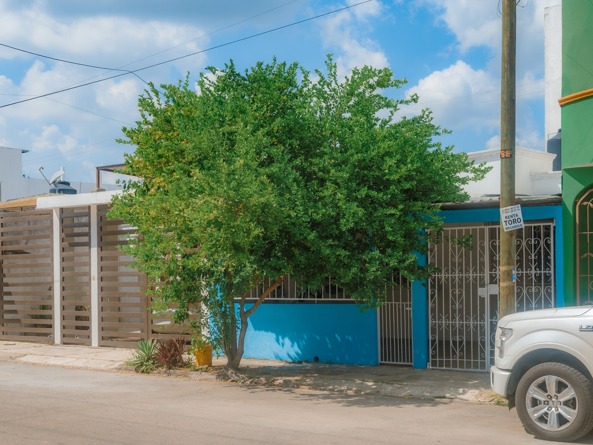 Estrellas de Buena Vista. 2025. Fotógrafo en Villahermosa | ERALPUCHE