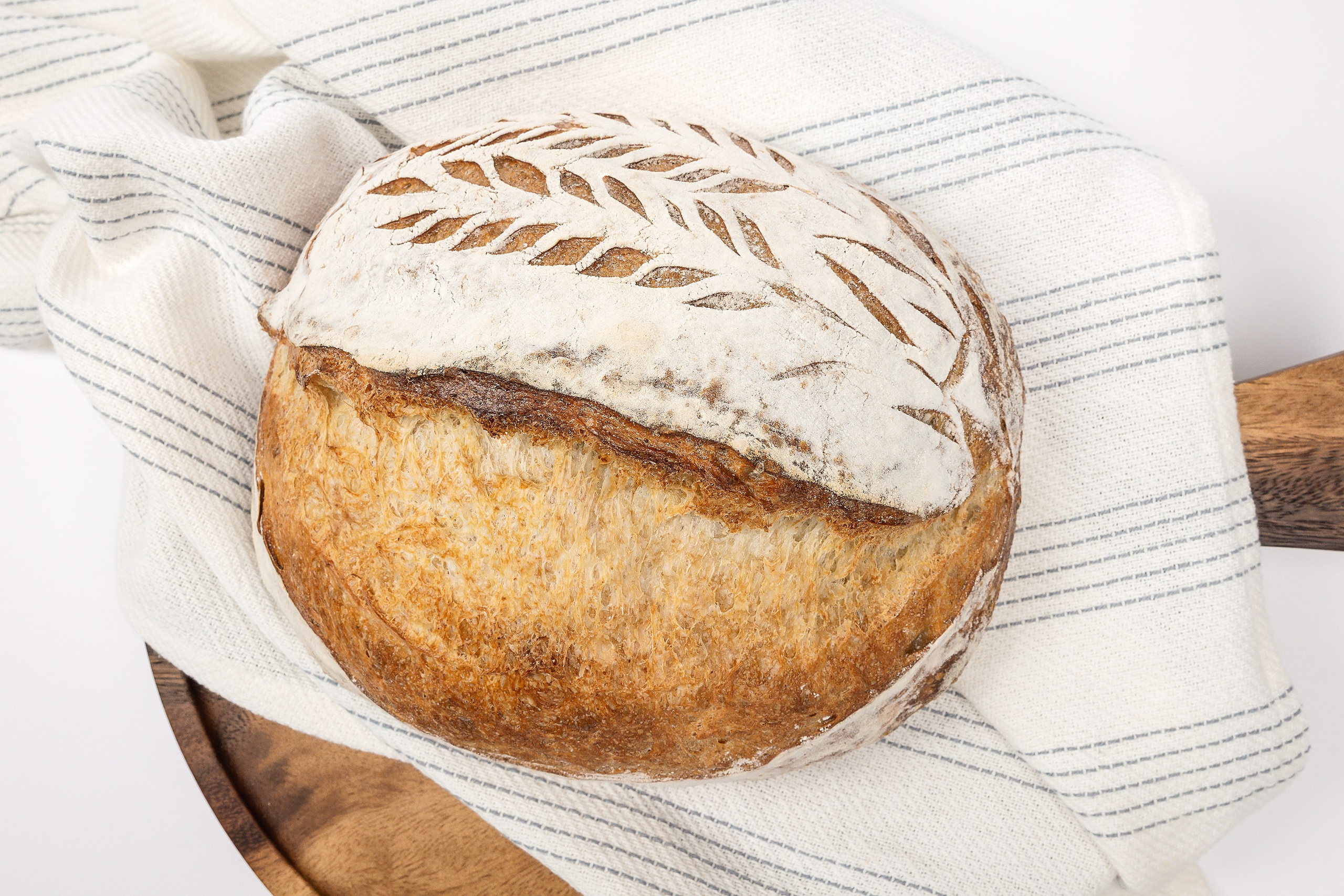 Vignoble et Domaine Beauchemin / Edition January 2025