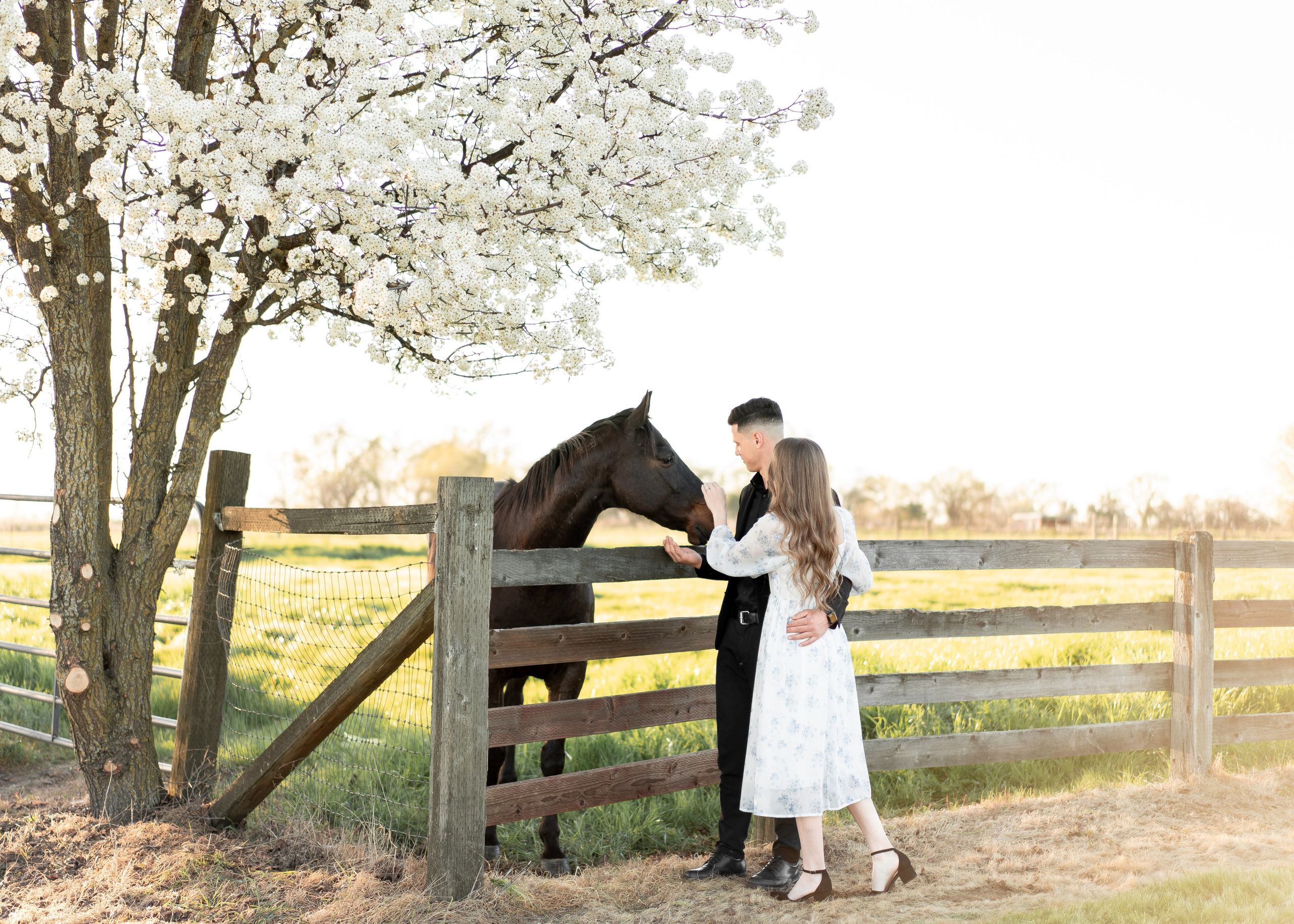 Artem & Lida. Family photographer in Sacramento | Sofia Pavenko
