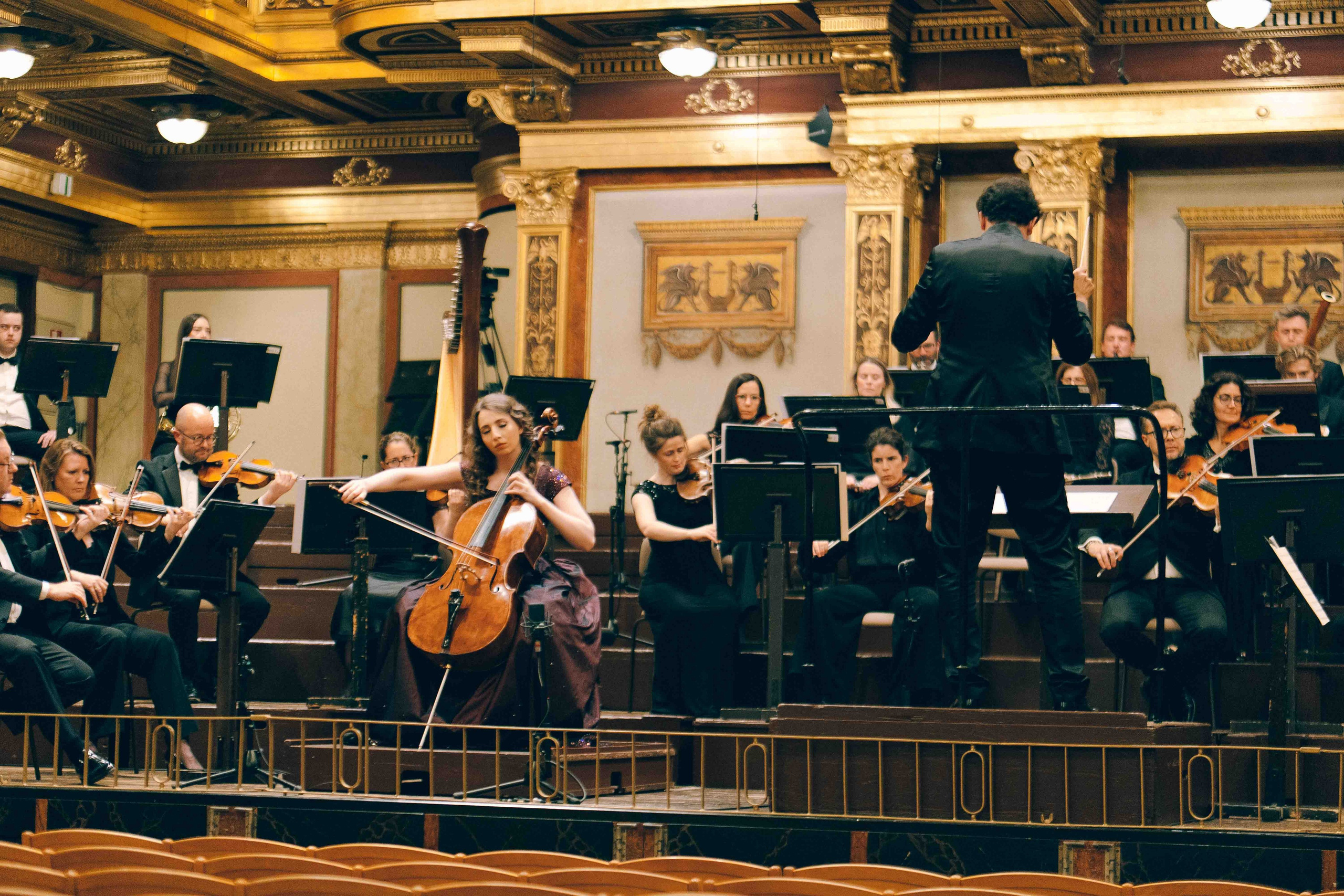 MUSIKVEREIN (VIENNA). Wedding&Event photographer Ismail Rzayev in Baku