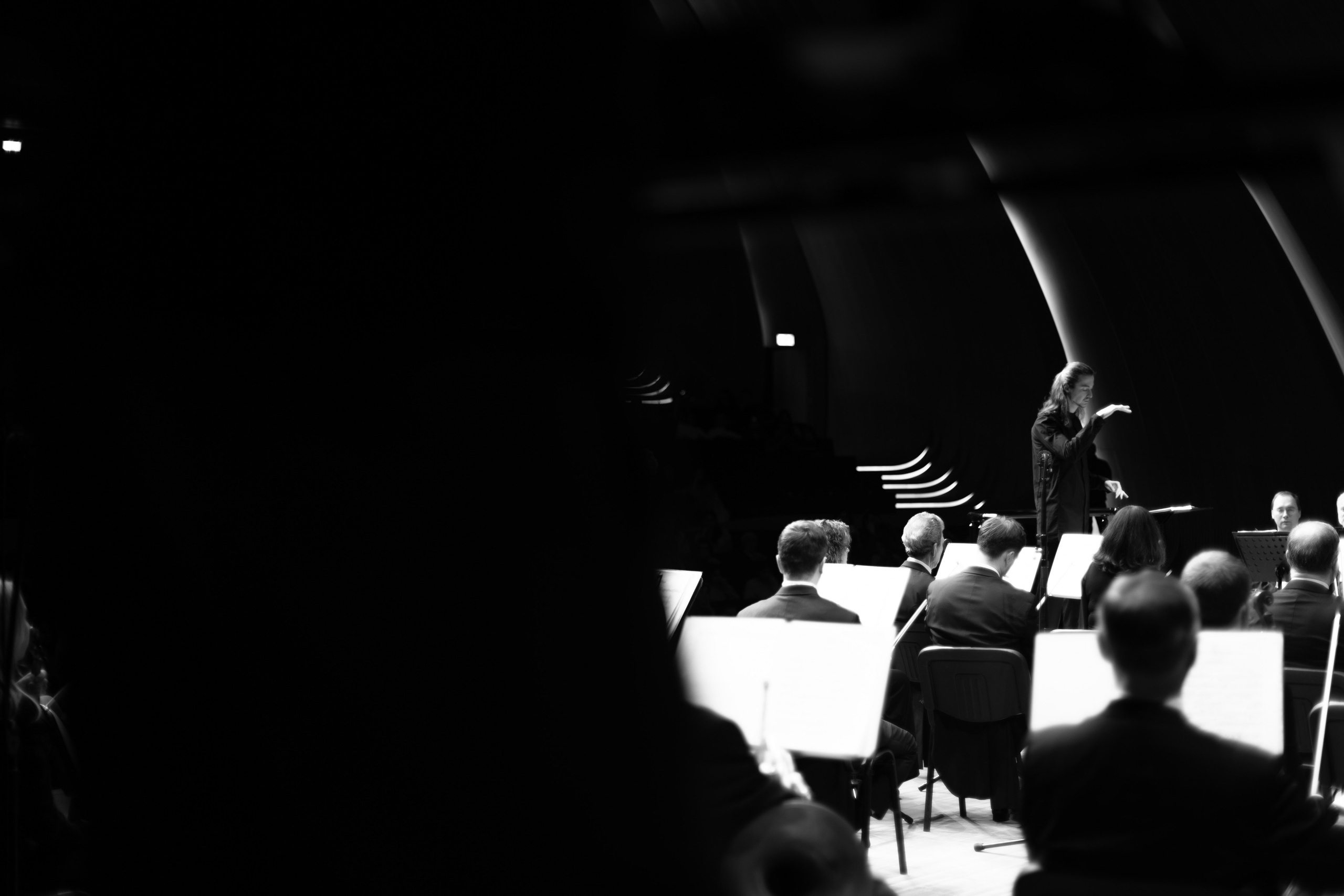 The Tchaikovsky Academic Grand Symphony Orchestra in Baku. Wedding&Event photographer Ismail Rzayev in Baku