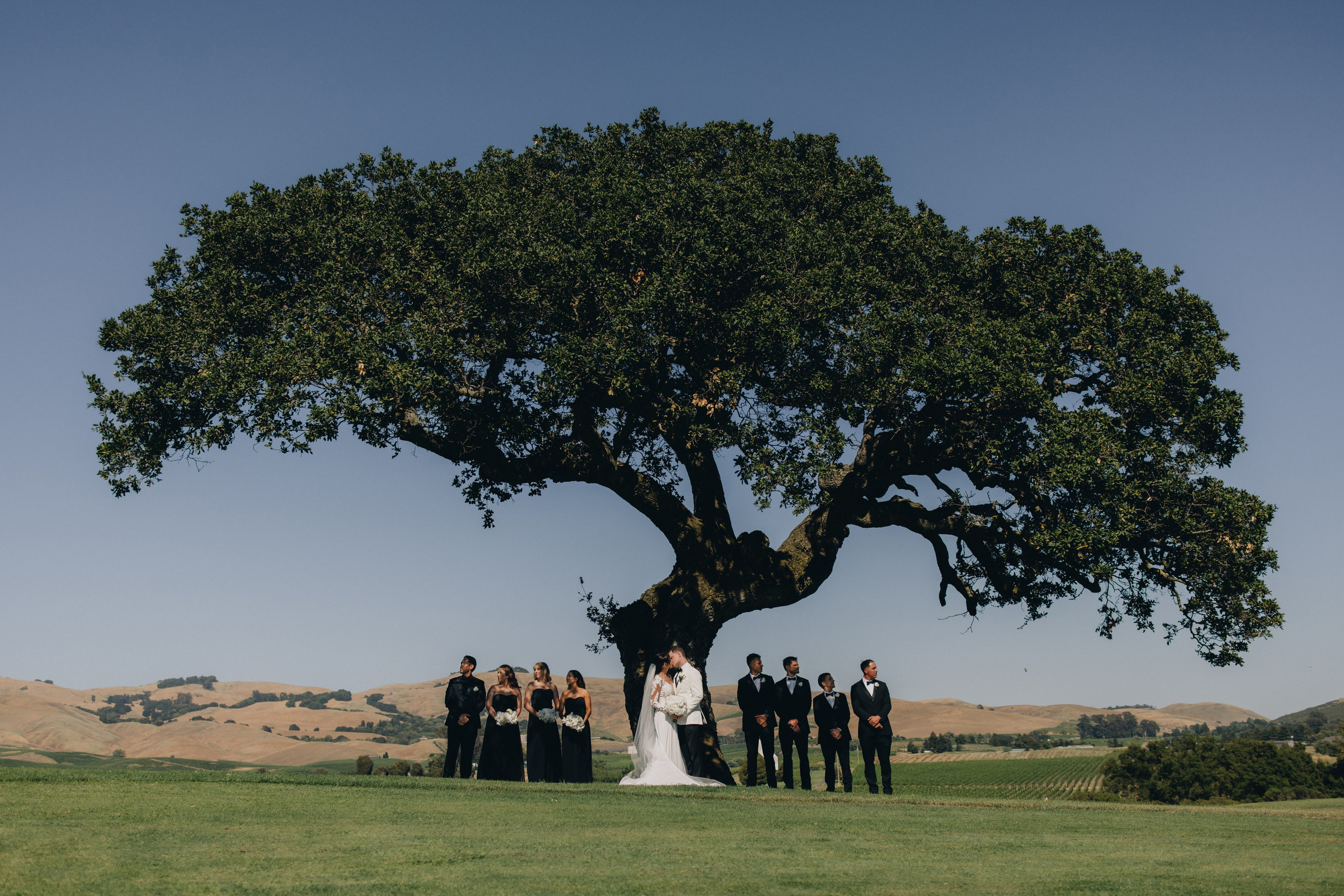 Coleman & Erenia Wedding in Napa | Georgy Shishkin Photography. Portland & Seattle Wedding, Elopement & Engagement Photographer | Georgy Shishkin