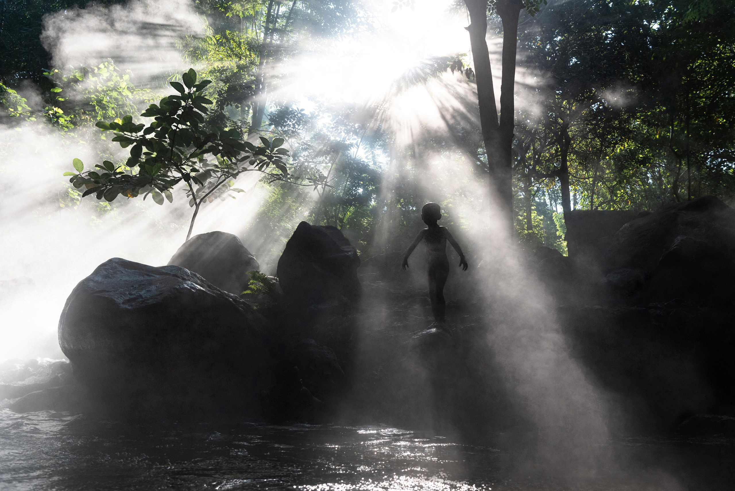 A breathtaking photograph of a child silhouetted against streams of light breaking through a misty forest. The serene scene, with lush greenery and soft water reflections, creates a sense of wonder and tranquility. This image demonstrates the photographer’s skill in capturing ethereal and atmospheric moments, making it ideal for clients seeking artistic and emotive visuals for editorial, nature, or lifestyle projects.