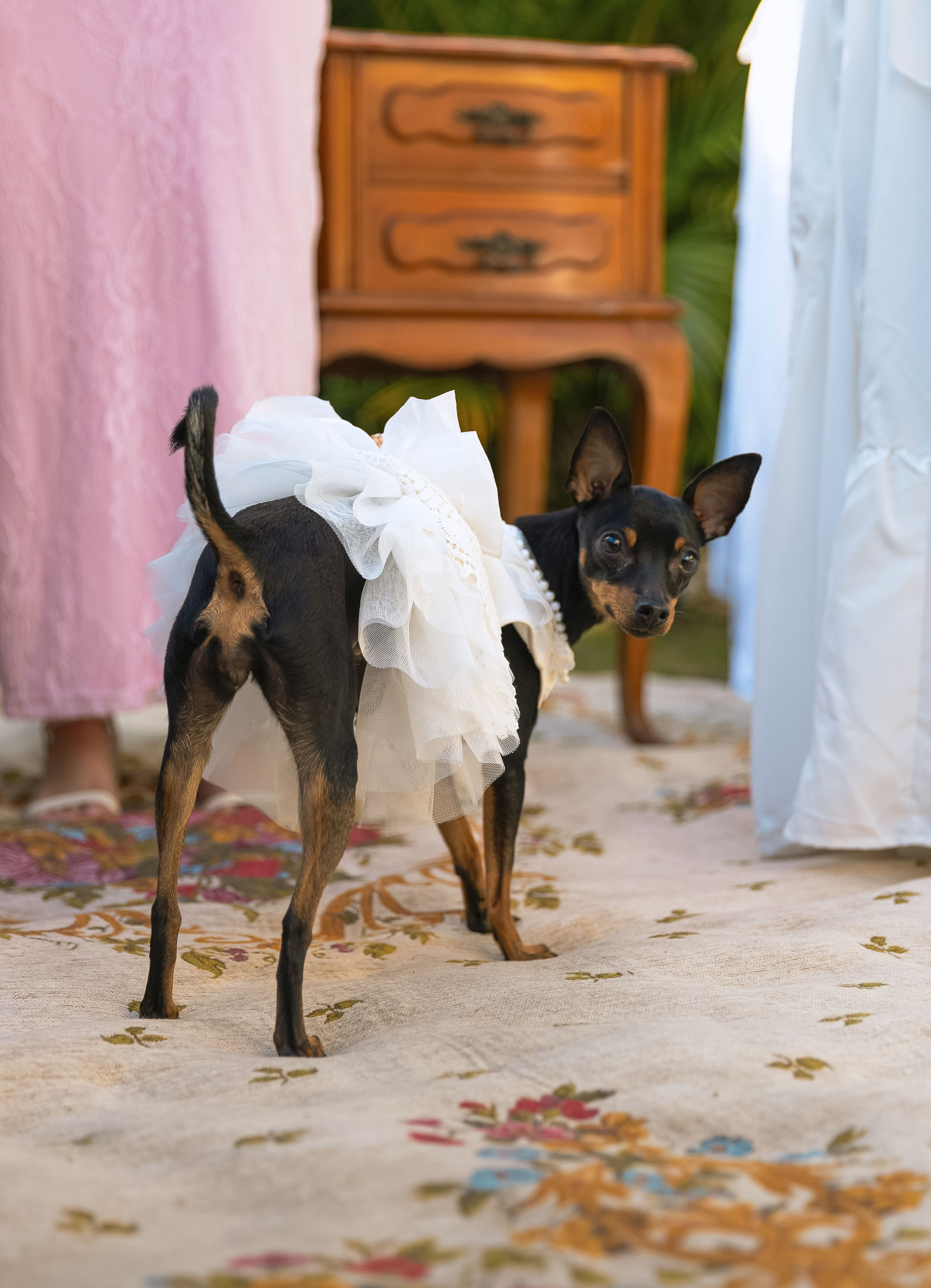 Fotografo de casamento. Fotógrafa em são paulo — Fotos Autênticas