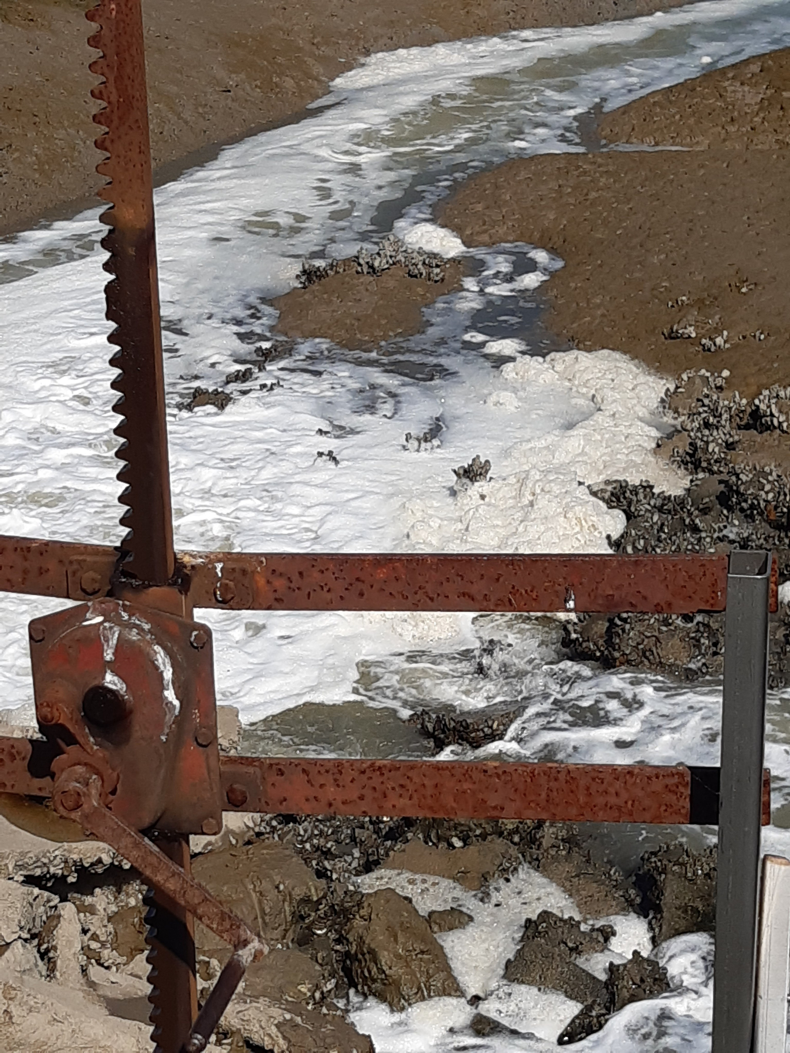 Materials collection and inspiration. Anne-Flore REY, Artist — Painter and Sculptor in TOULOUSE (FR)