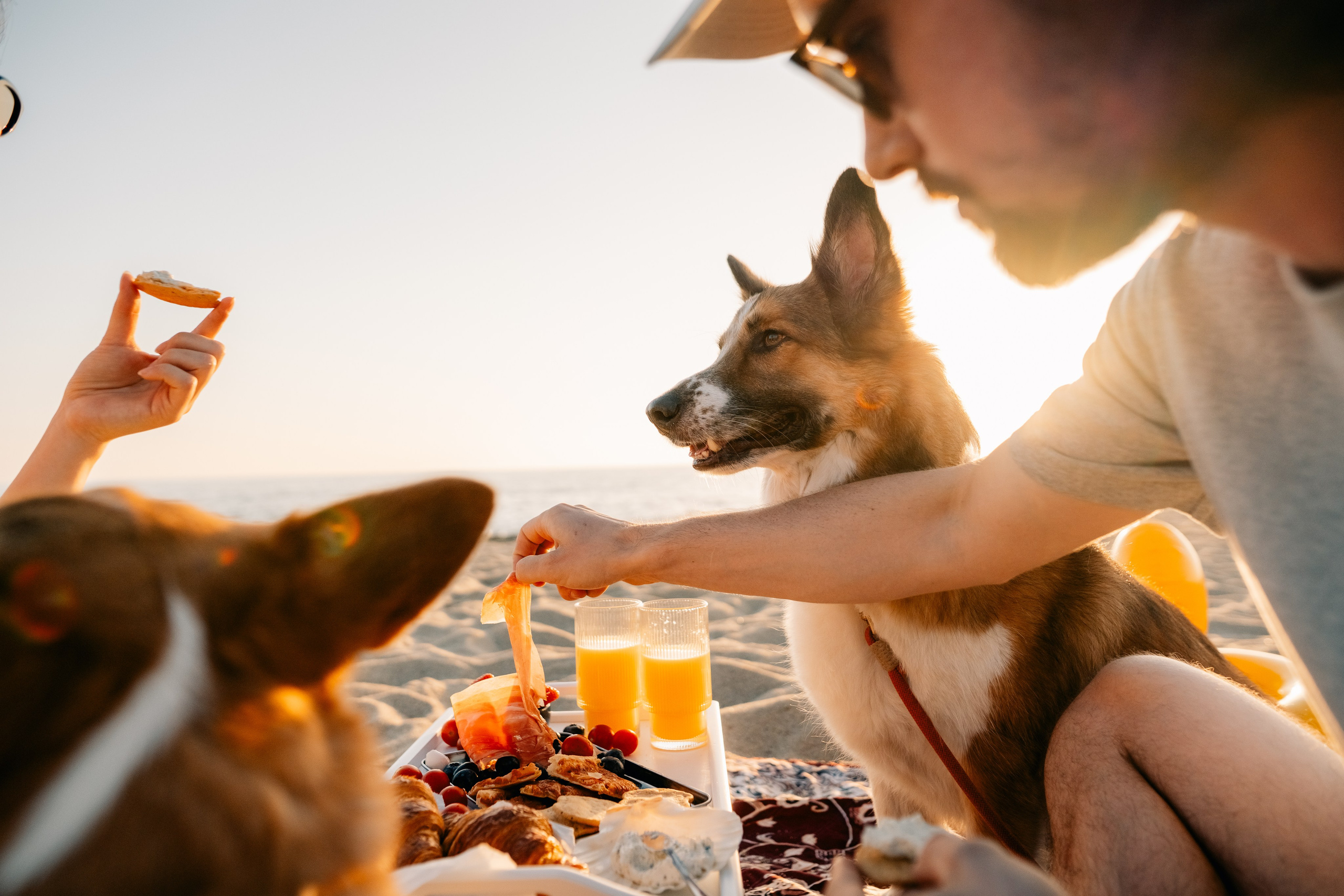 Anya & Dima. Maria Sher. Professional photographer from Porto, Portugal