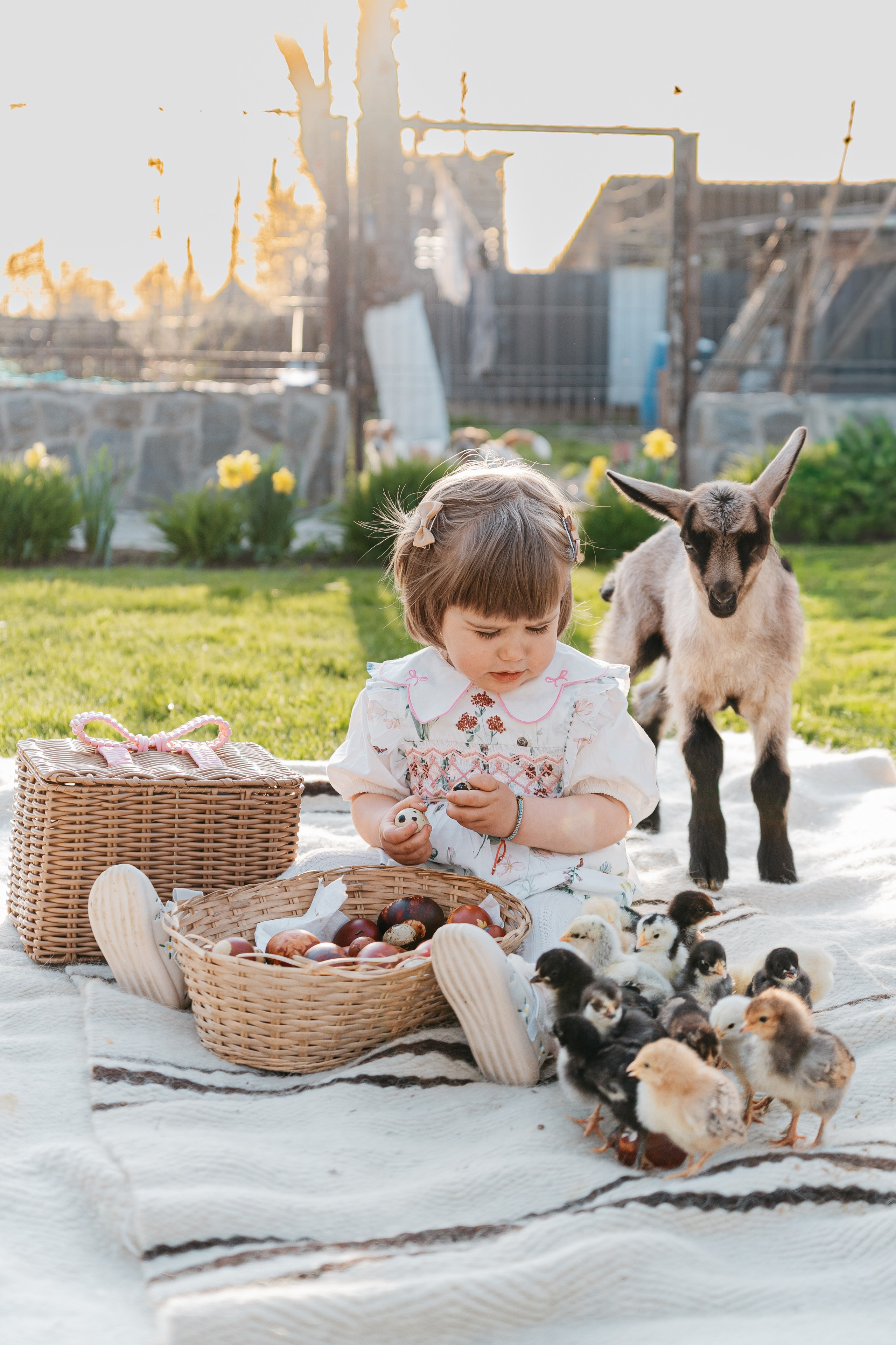 EASTER. Ars Vidi | Digital Solutions