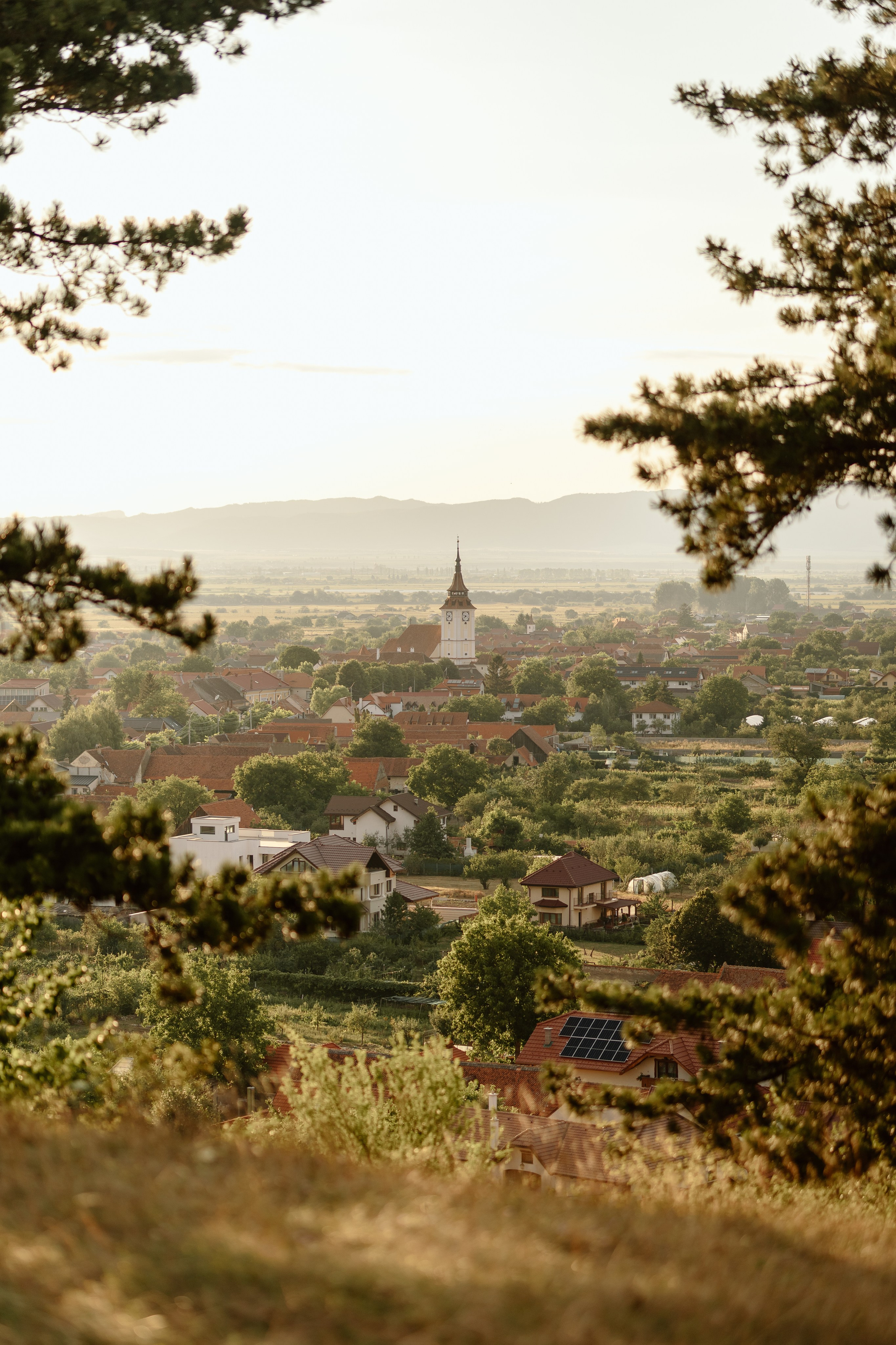 Ana & Edwin — After wedding. Main