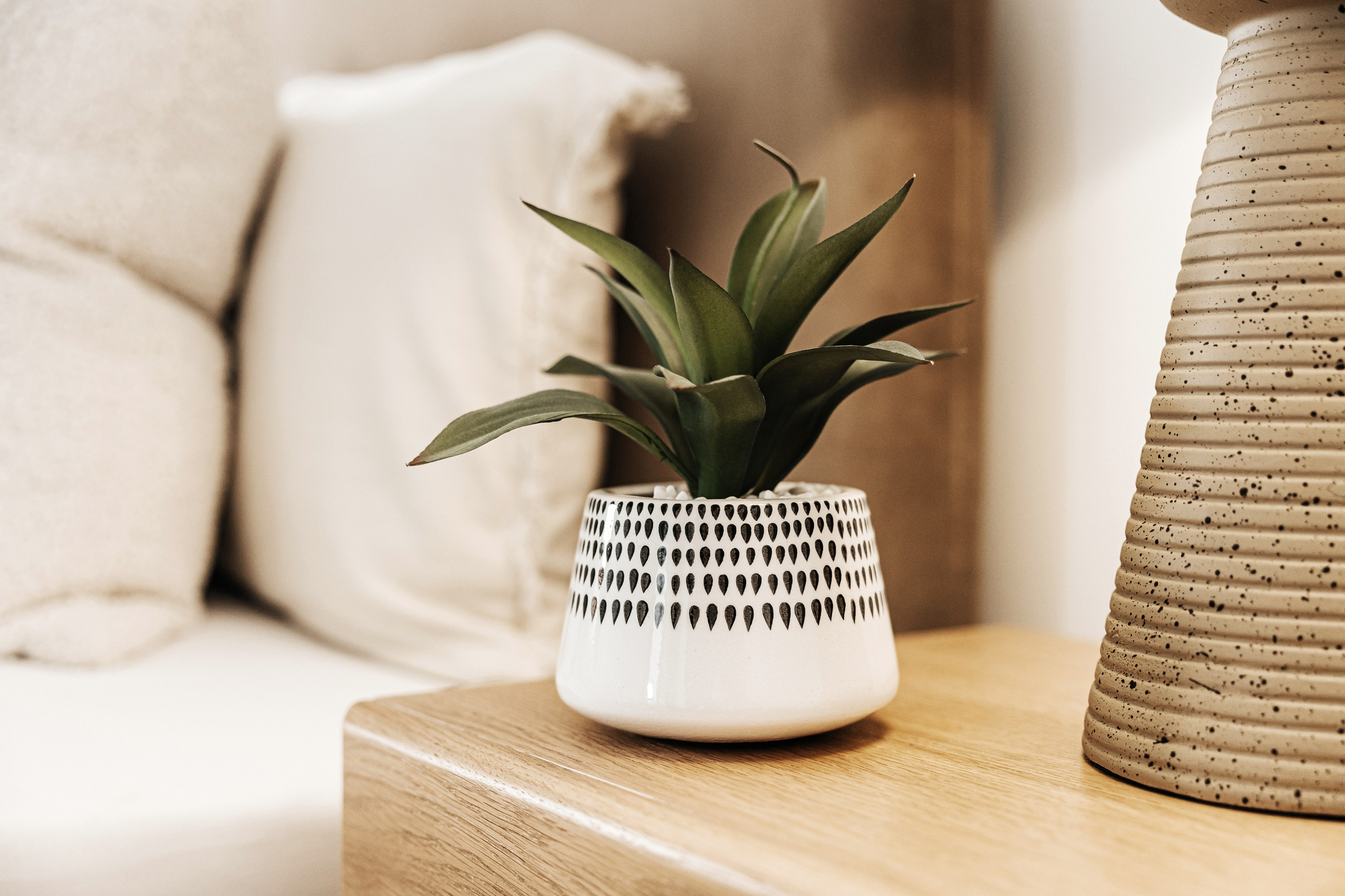 Ambition House. Photographer Andrei White