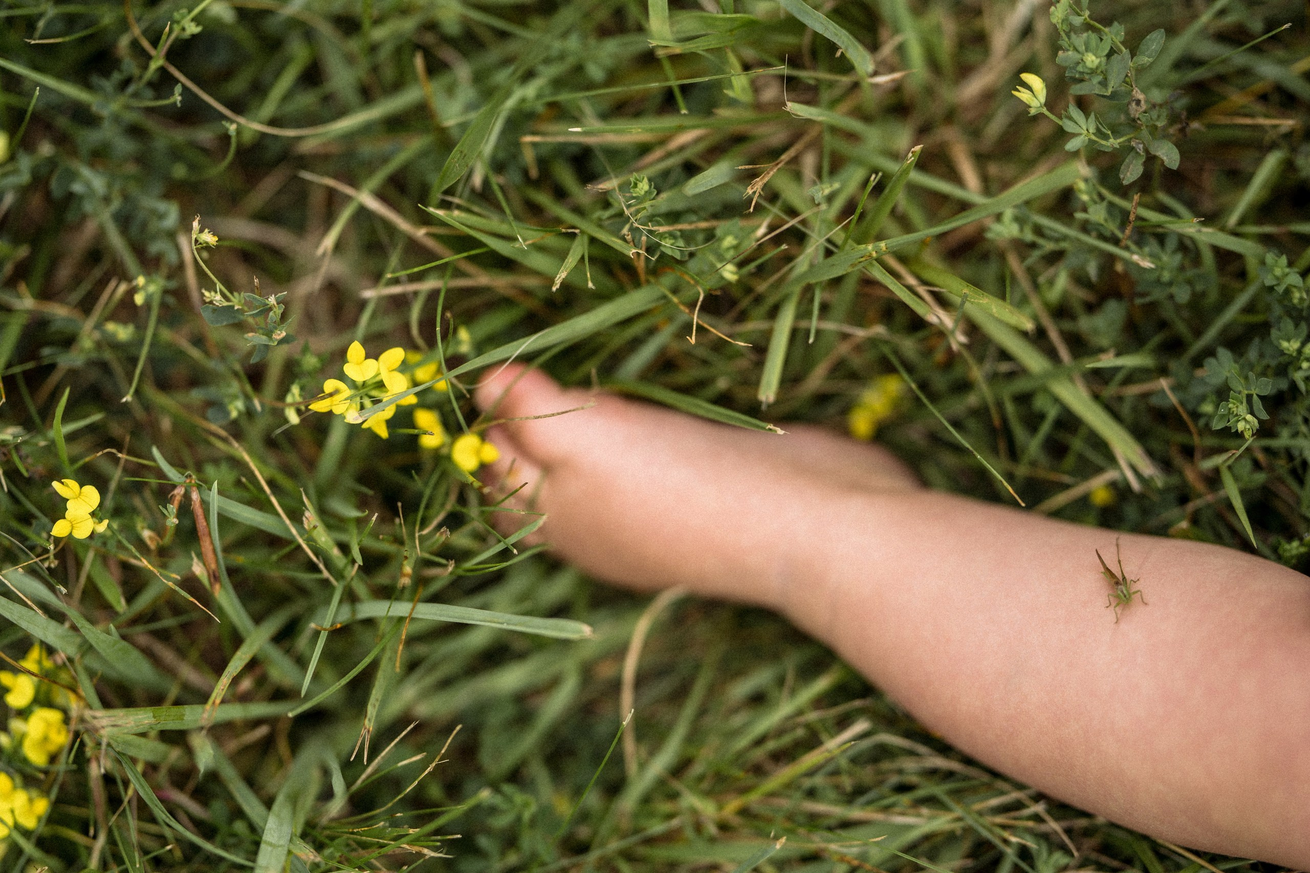 Natasha, Sasha, Misha. Alisa Tant — Family and newborn photographer Bucks County, Montgomery county, Philadelphia, NJ