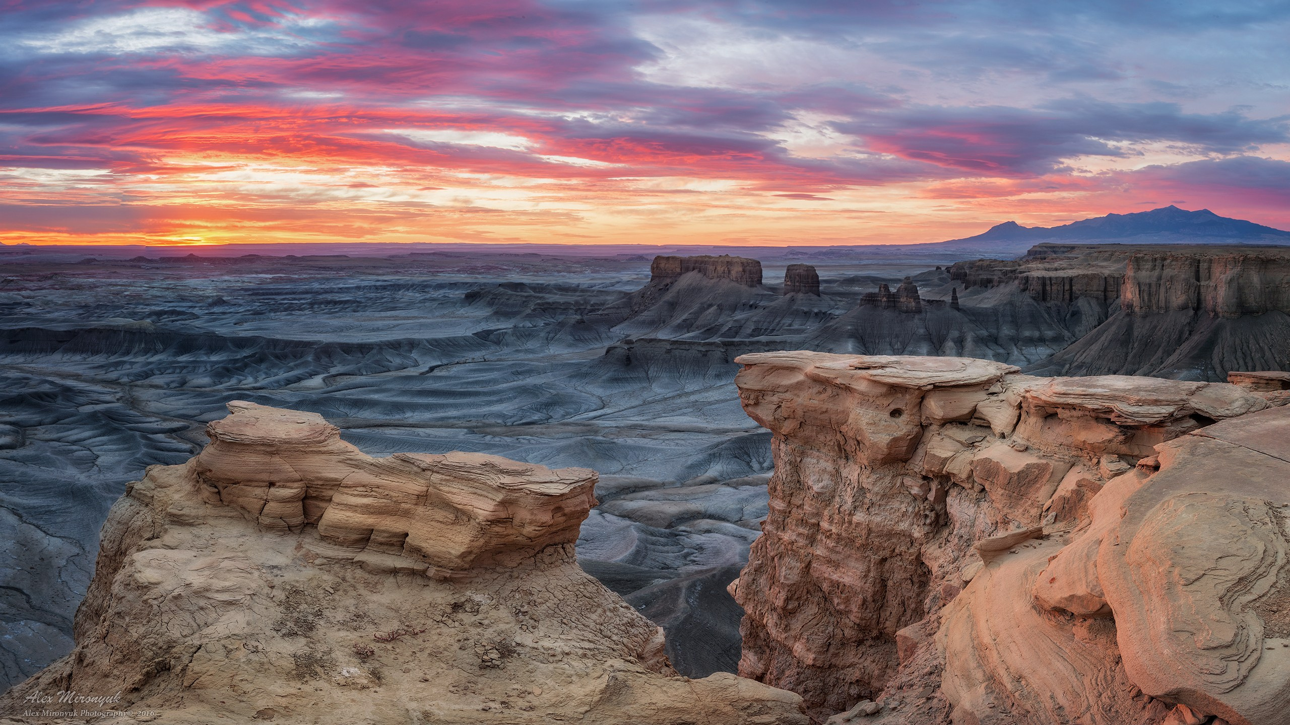 Eagle’s View: The American Southwest. Pet, Senior, Landscape, portrait studio, photographer in Miami and Sou