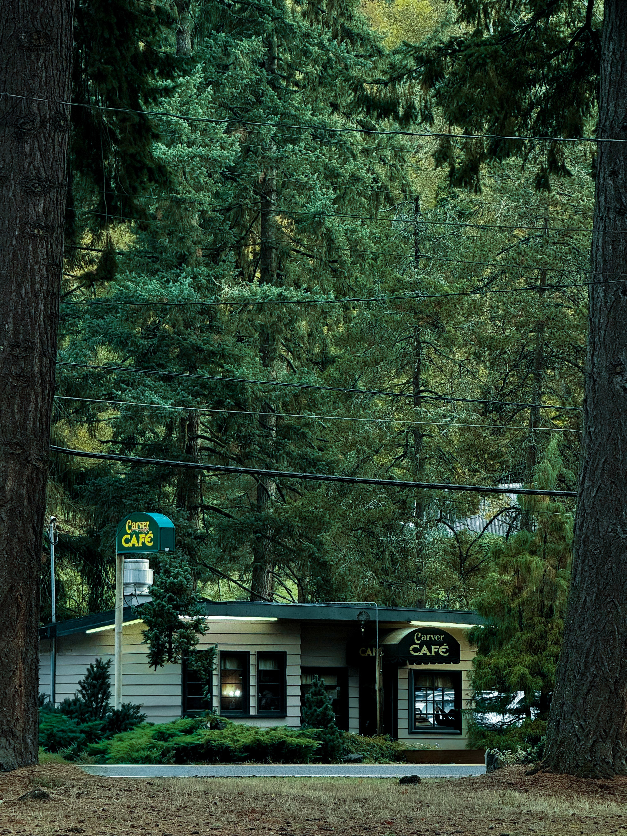 Twilight | Wallpapers. Photographer in Los Angeles. Julia Ishmuratova