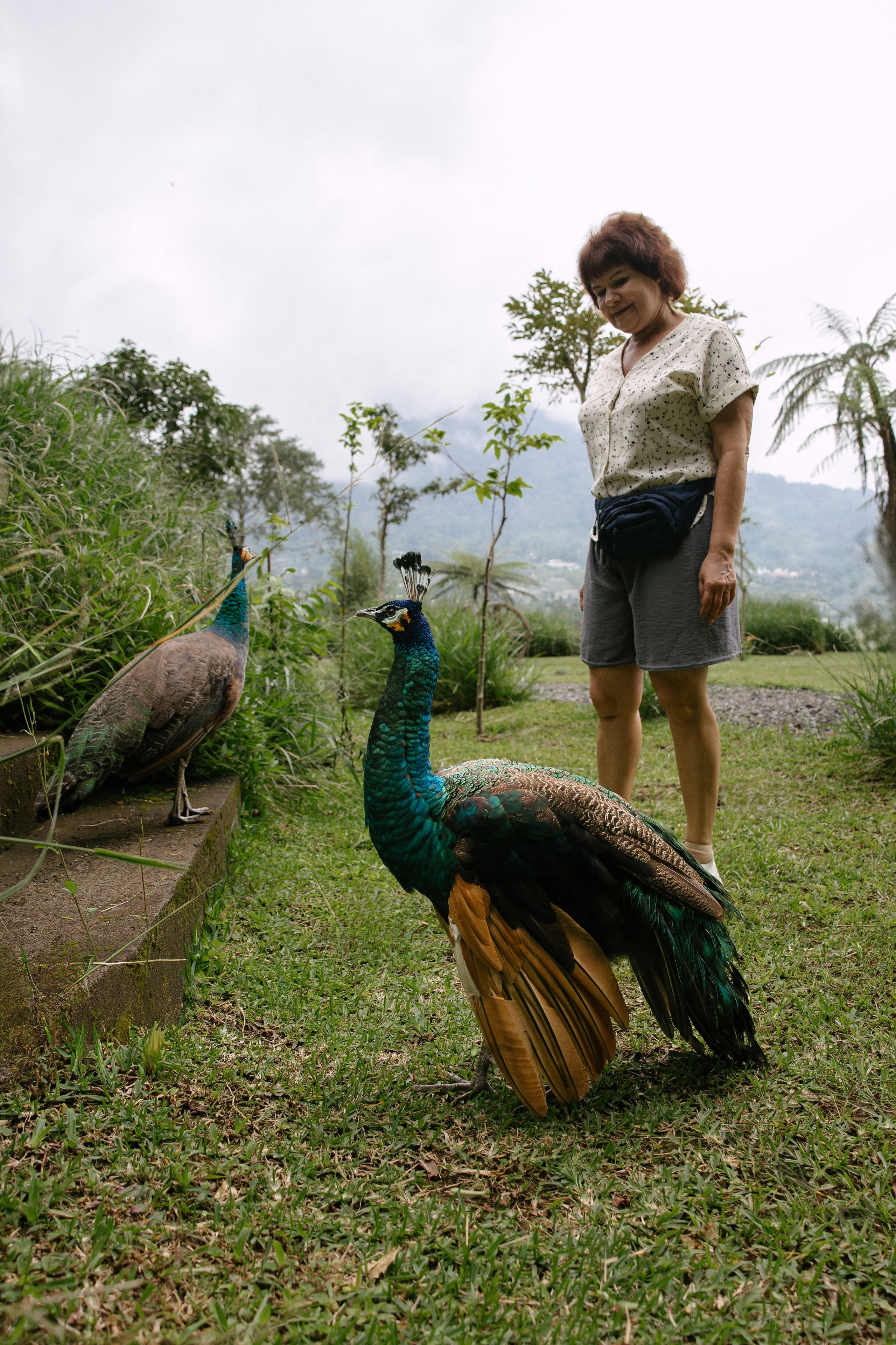 North trip. Профессиональный фотограф Нурмиева Вероника
