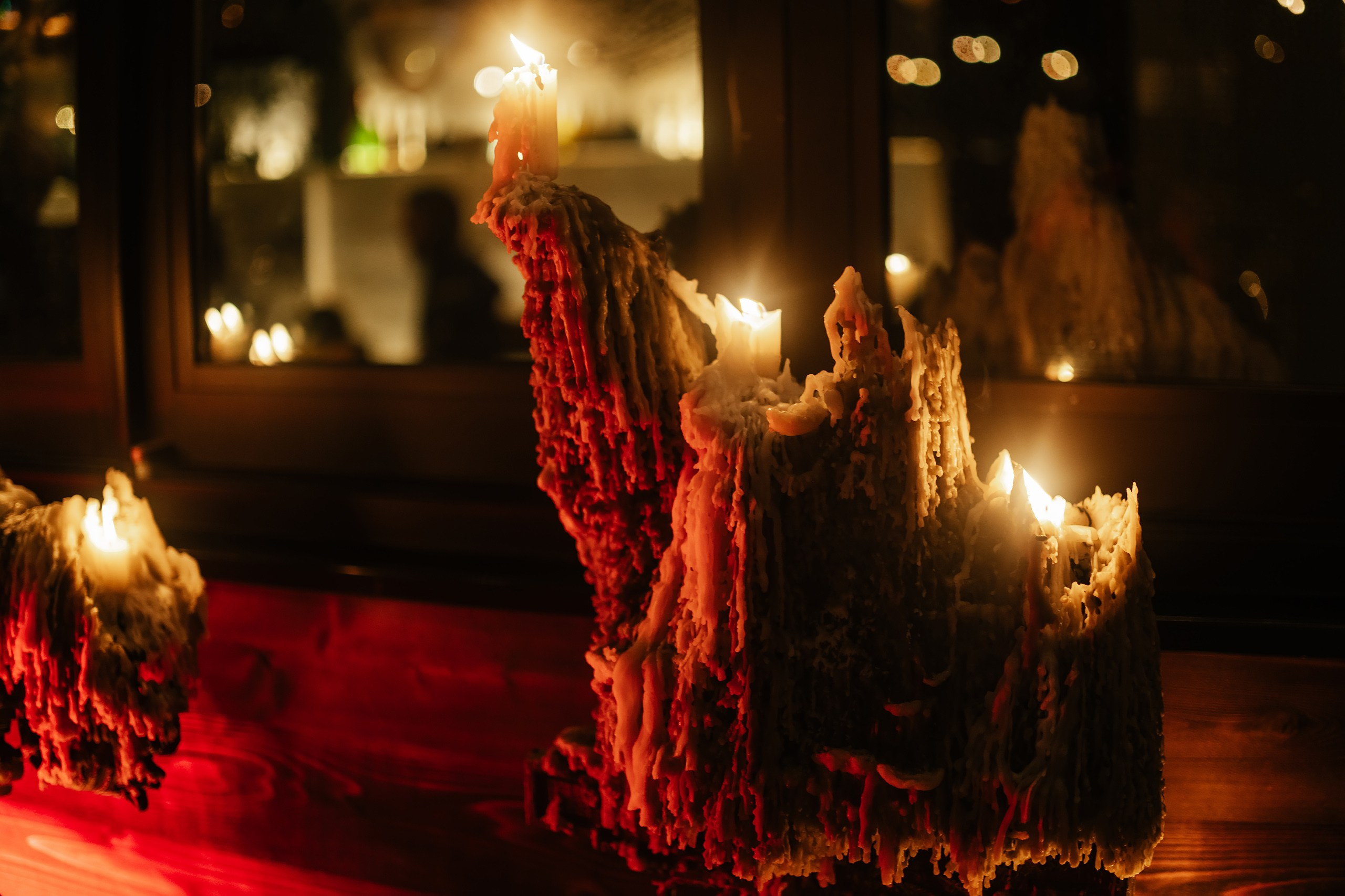 Elena’s Birthday Party. Wedding family event photographer in Chicago Nick Yushevich