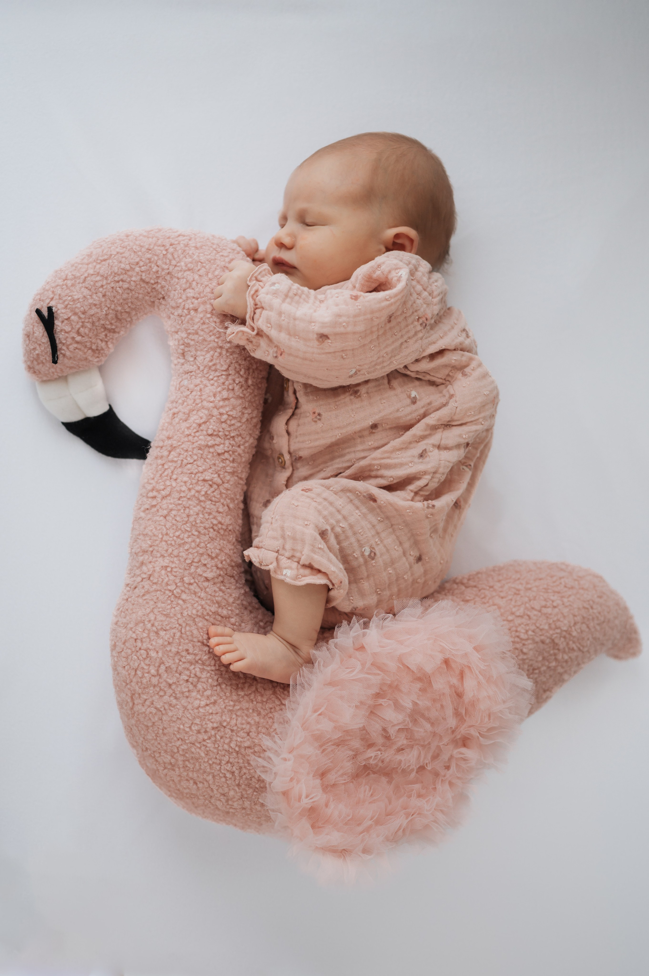 Tamara’s New Born Photoshoot