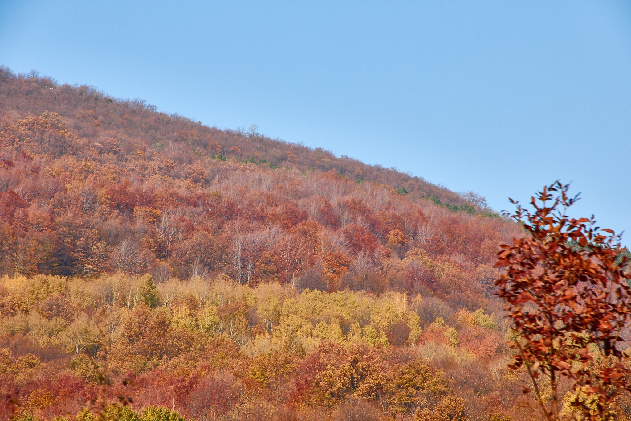 Toamna pe calea ferată Oravița-Anina, jud. Caraș-Severin. Pagina principală