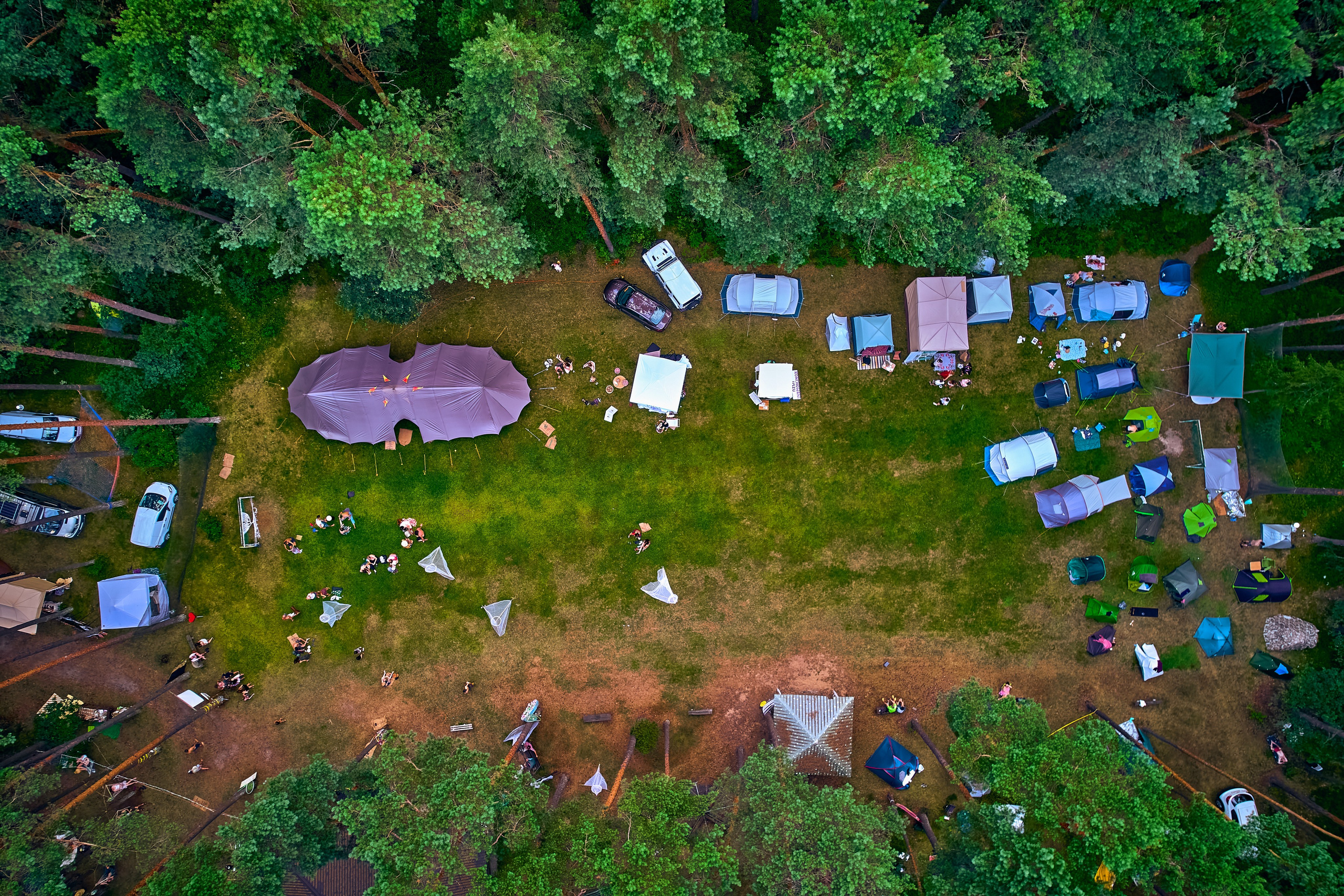 Organic Festival 2024. Андрей Шипилов — Фотография & Видеография