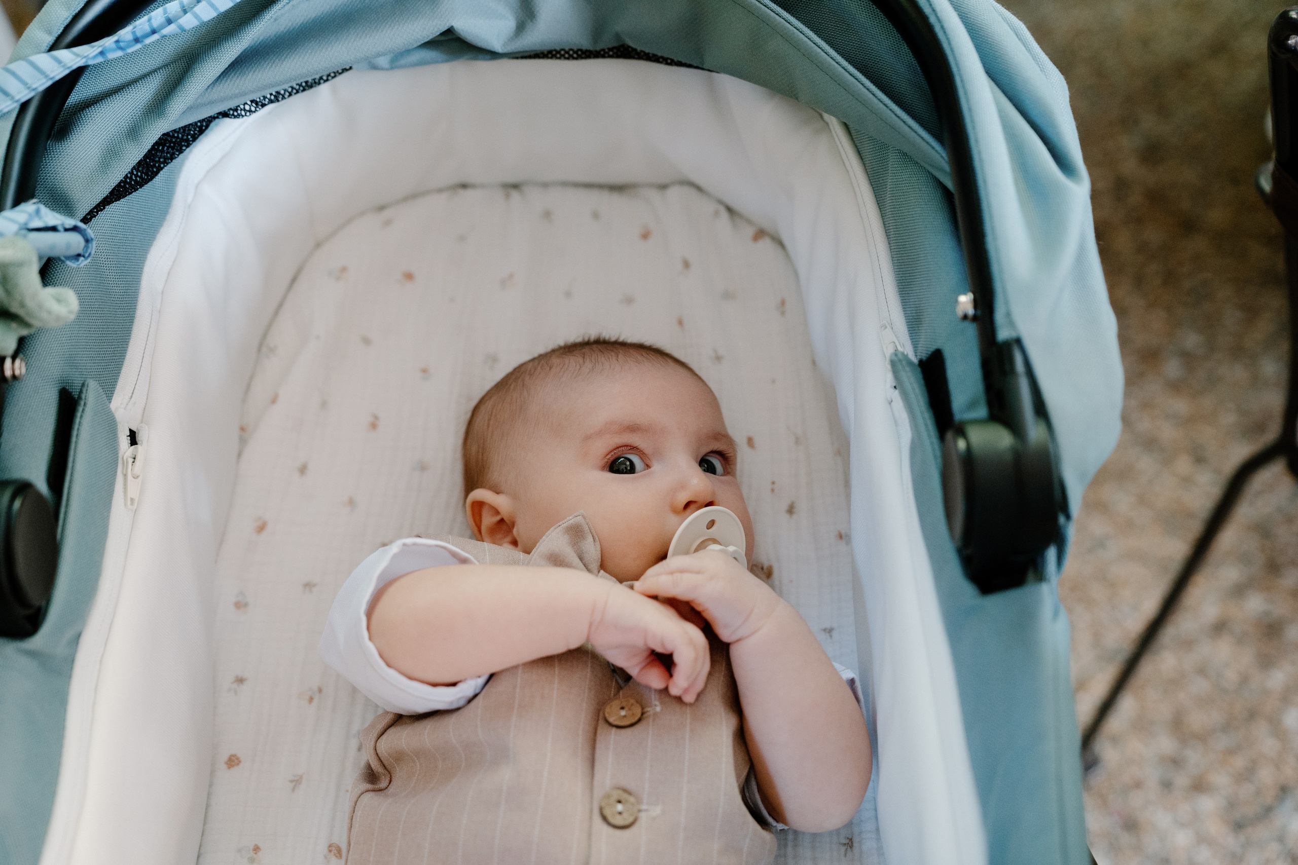 Baby Tudor. Gabrielacojocariu.com