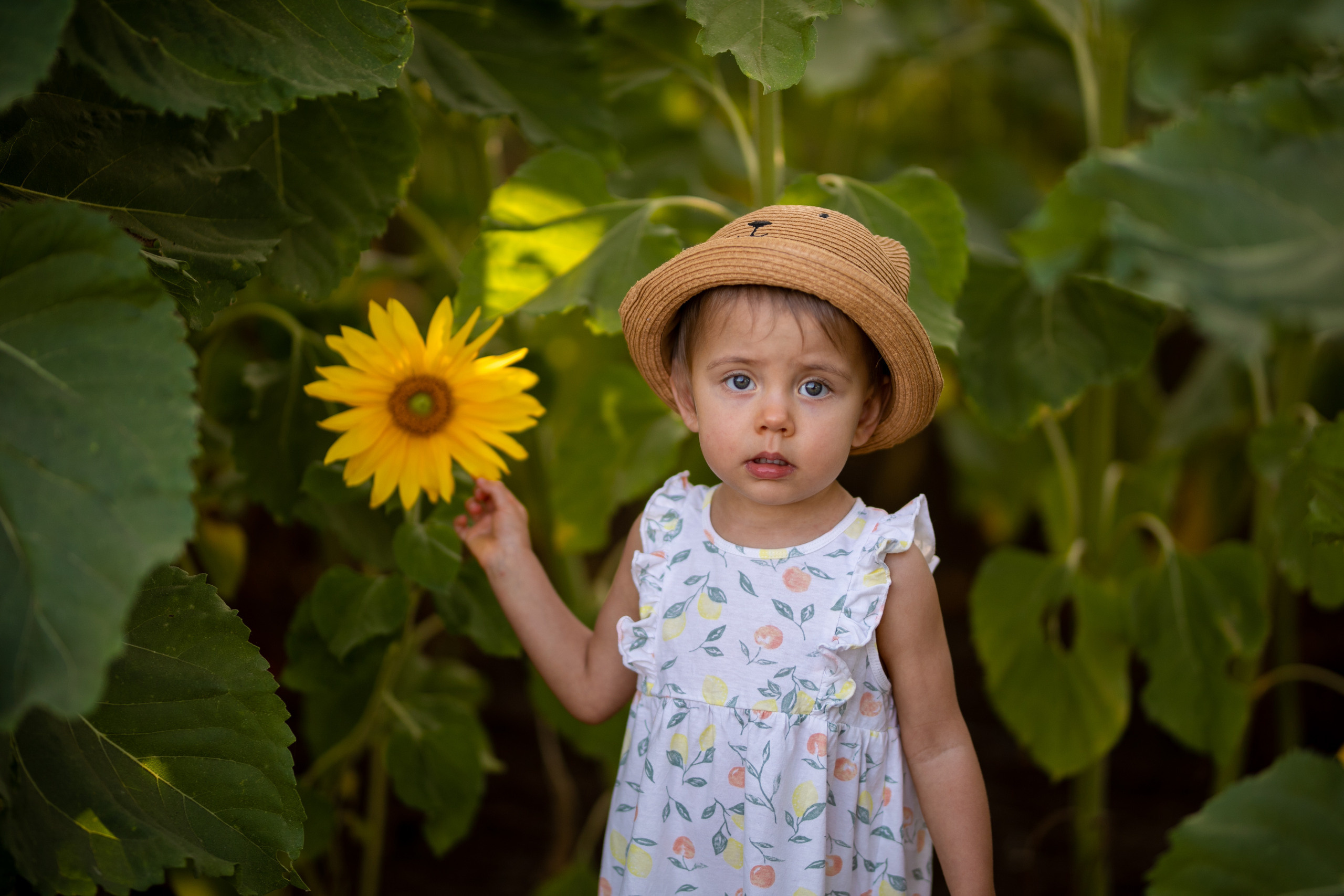 לקוחות ממליצים. נטליה רוזמן צלמת הריון ניובורן ילדים ובוק בת מצווה