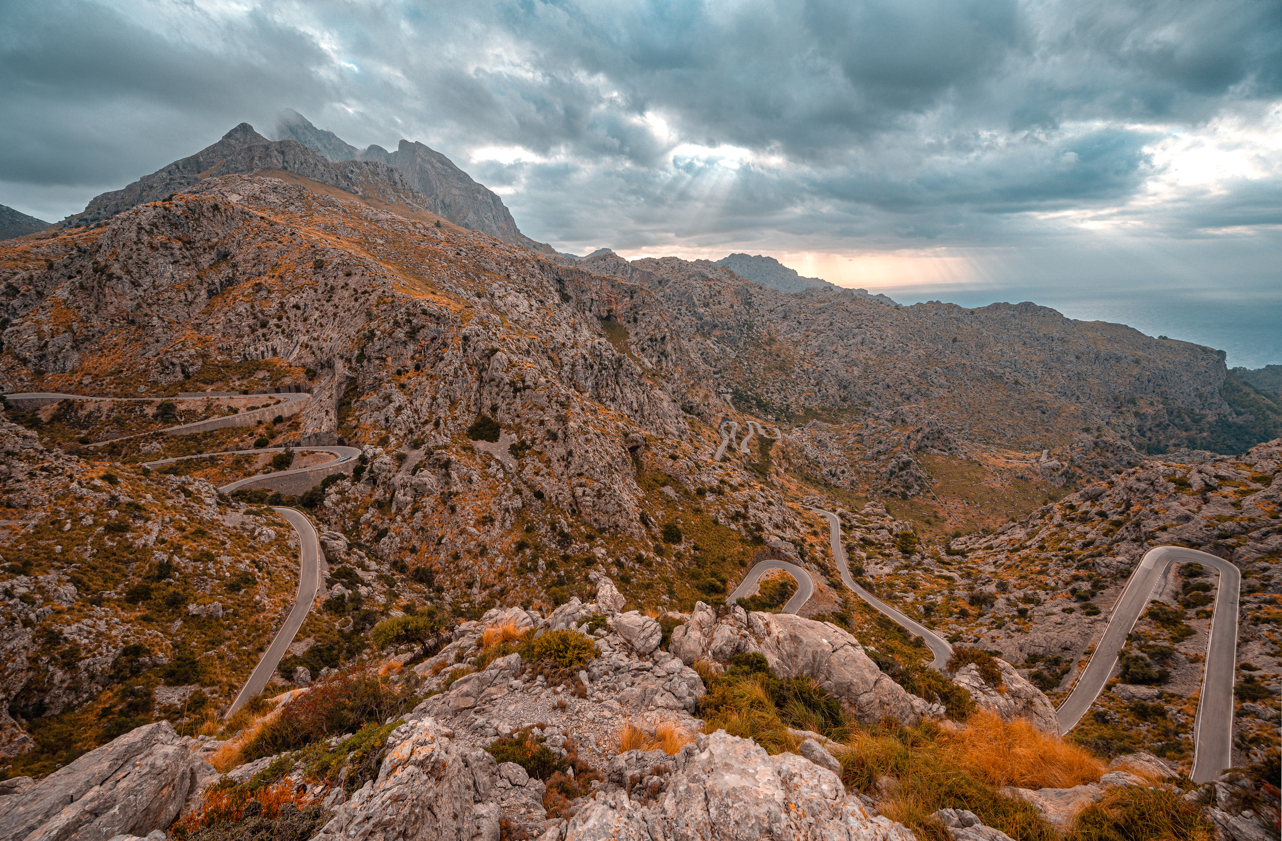 Fotograf in Berlin Brandenburg (Familien, Kinder, Paare, Hochzeiten)