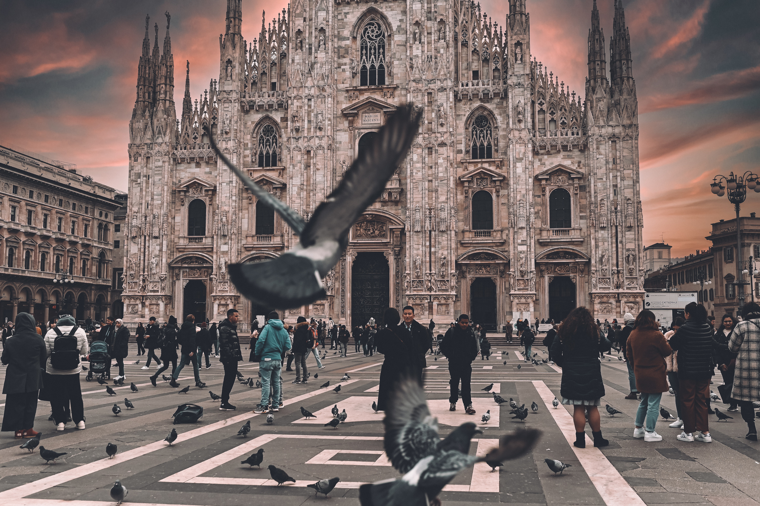 Fotograf in Berlin Brandenburg (Familien, Kinder, Paare, Hochzeiten)