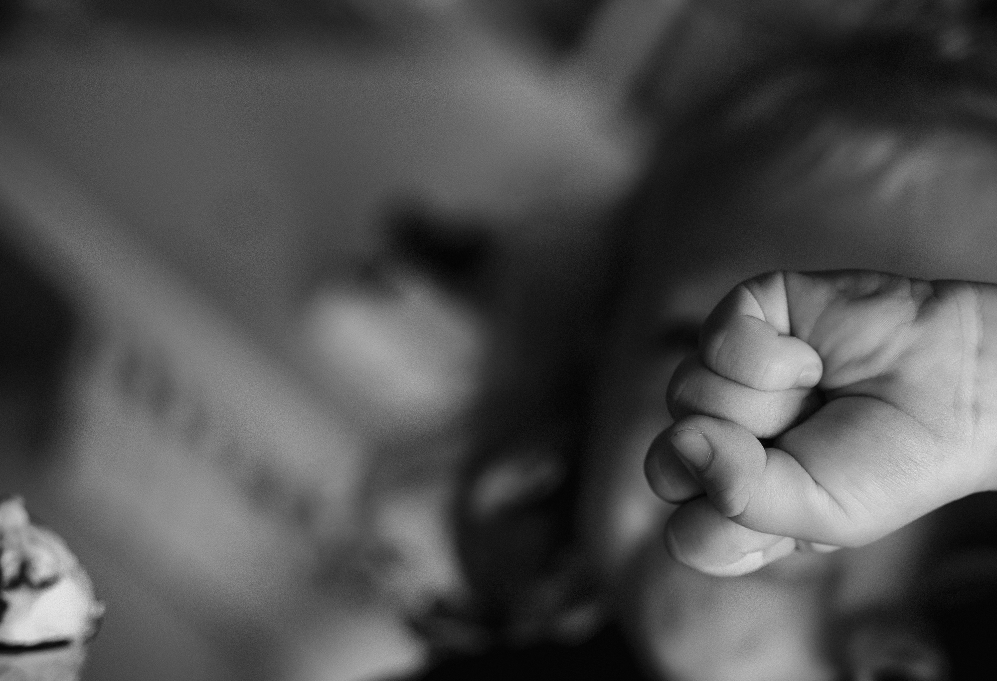 COSY DAY. Professionelle Gartenplanung und Fotografiedienstleistungen in London