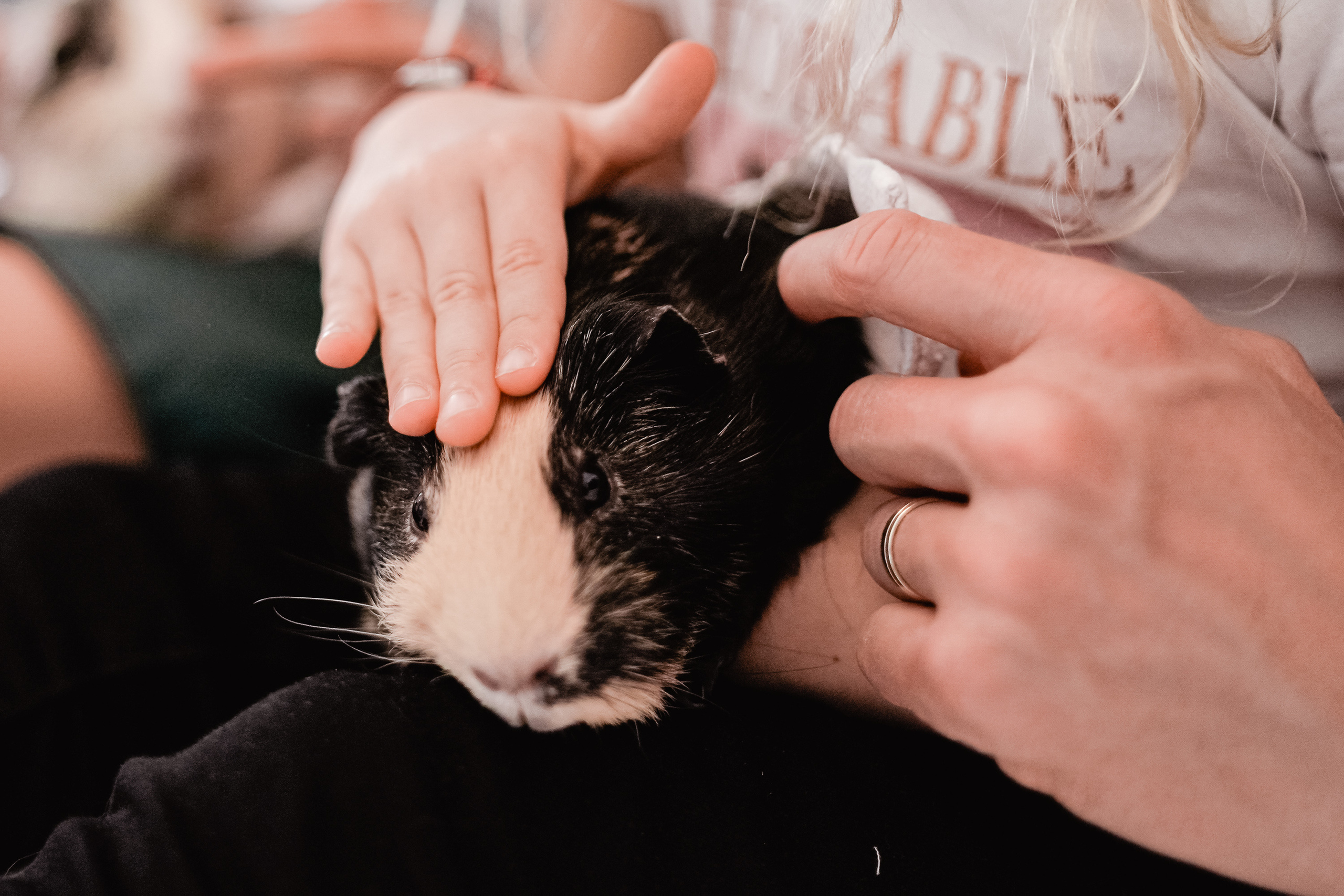 SEPTEMBER SUNDAY. Professionelle Gartenplanung und Fotografiedienstleistungen in London