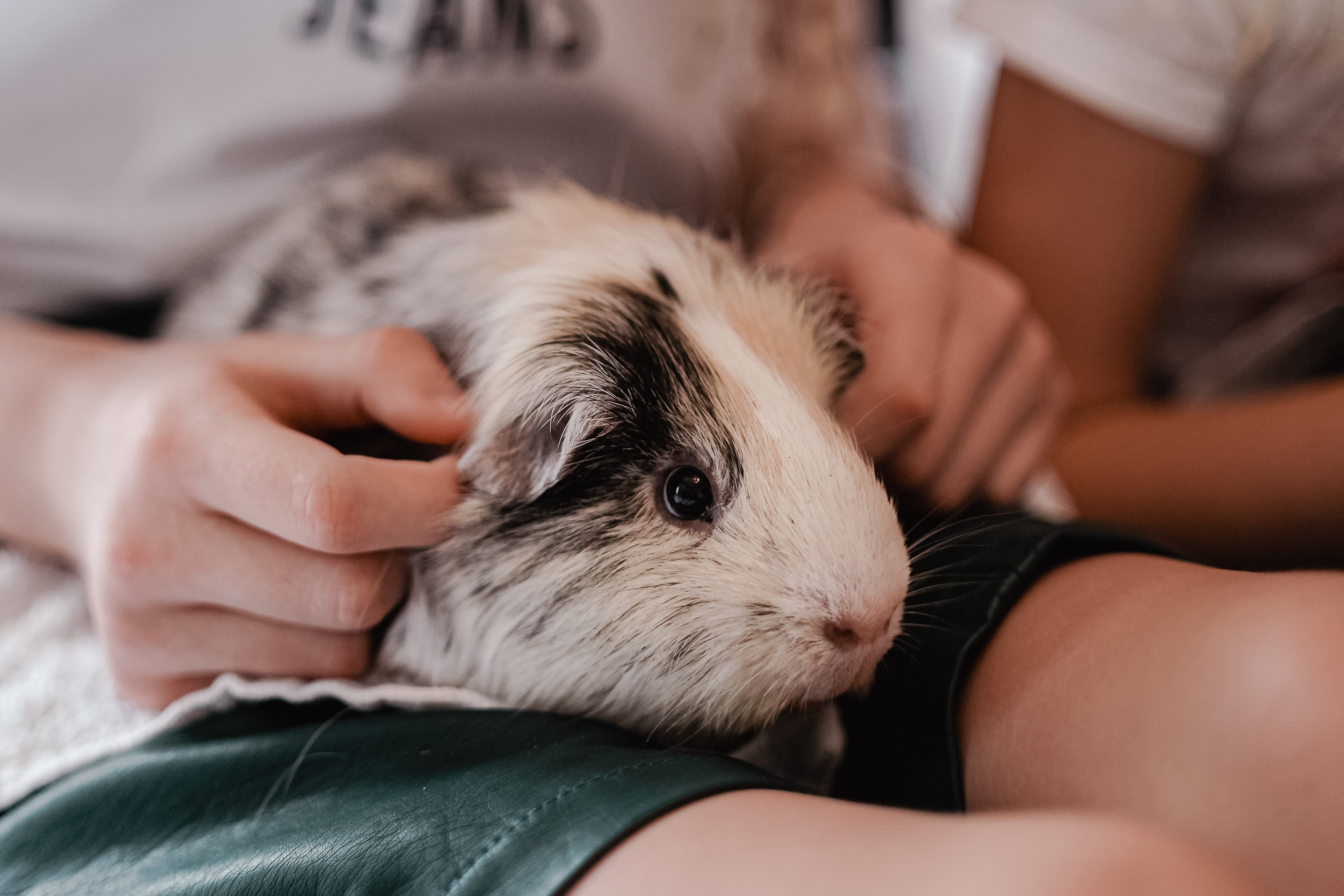 SEPTEMBER SUNDAY. Professionelle Gartenplanung und Fotografiedienstleistungen in London