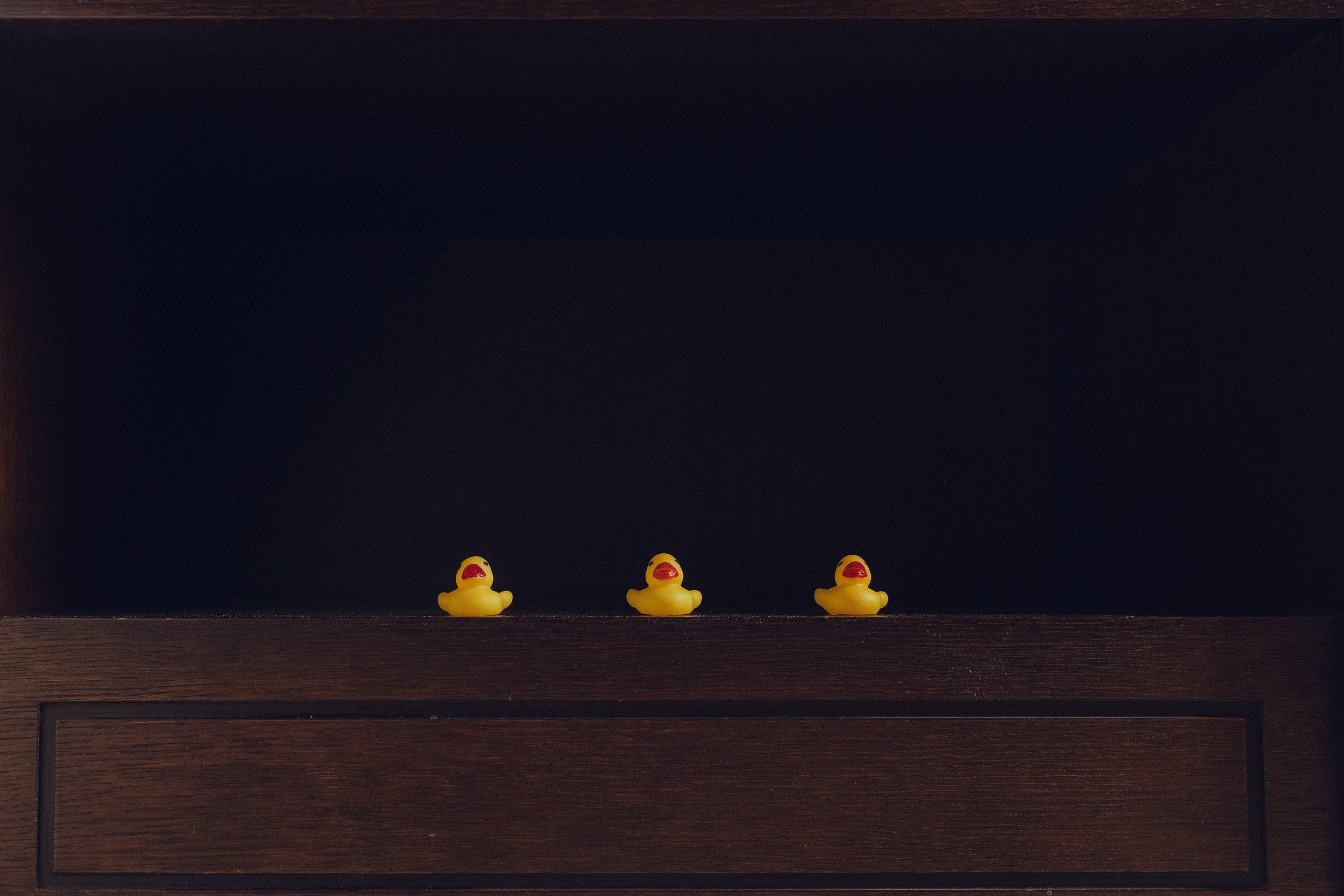 Алмаз и Алина. Азимжан Нуритдинходжаев — свадебный фотограф