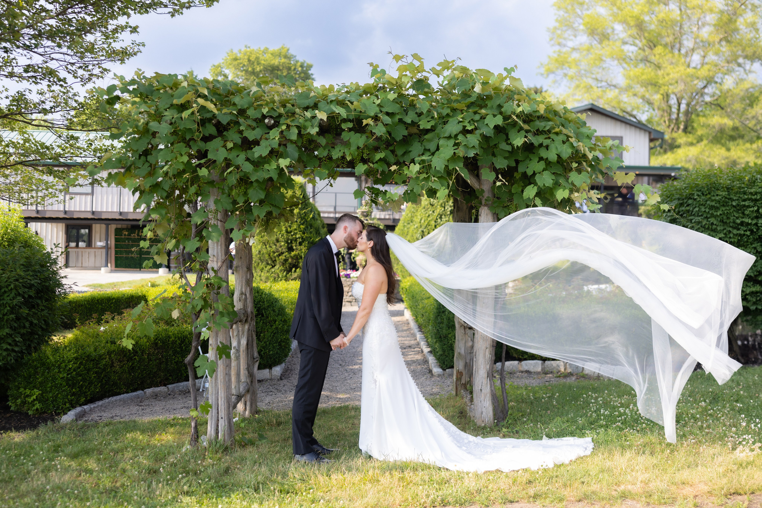 Angelica & Conor. Wedding Photo & Video