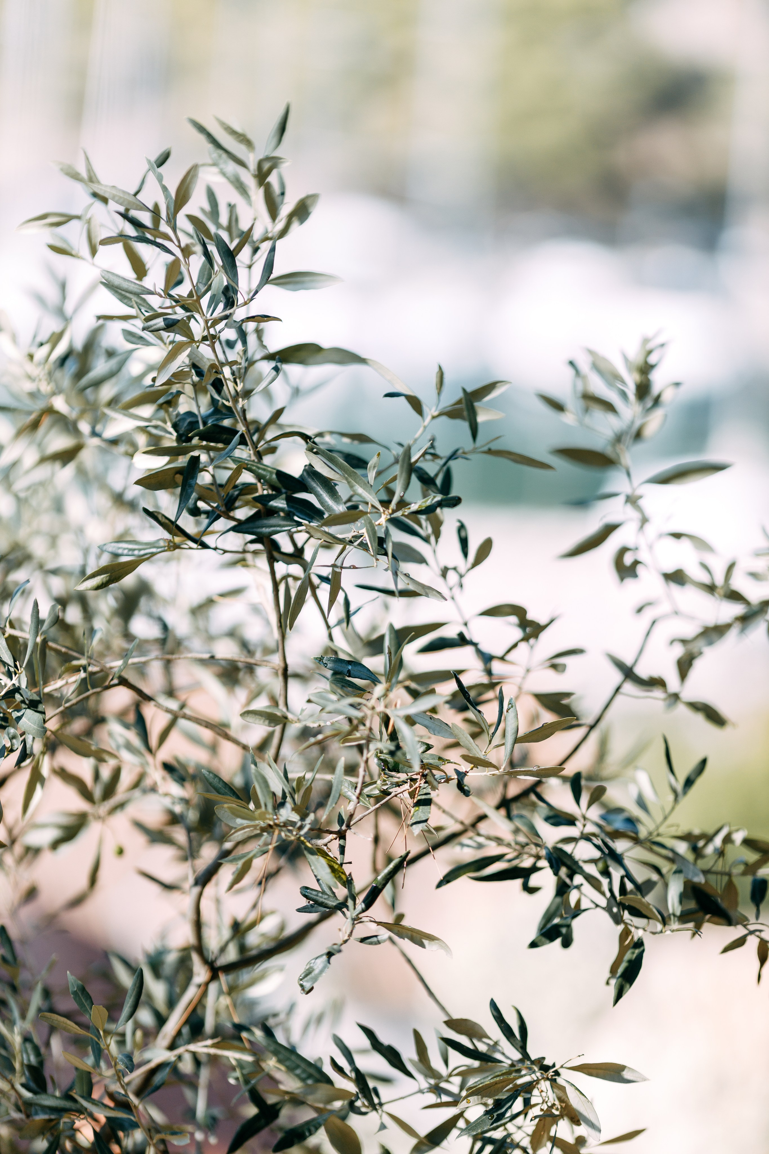 Love Kroatien. Professionele fotografin in Münsingen Olesia Wegele