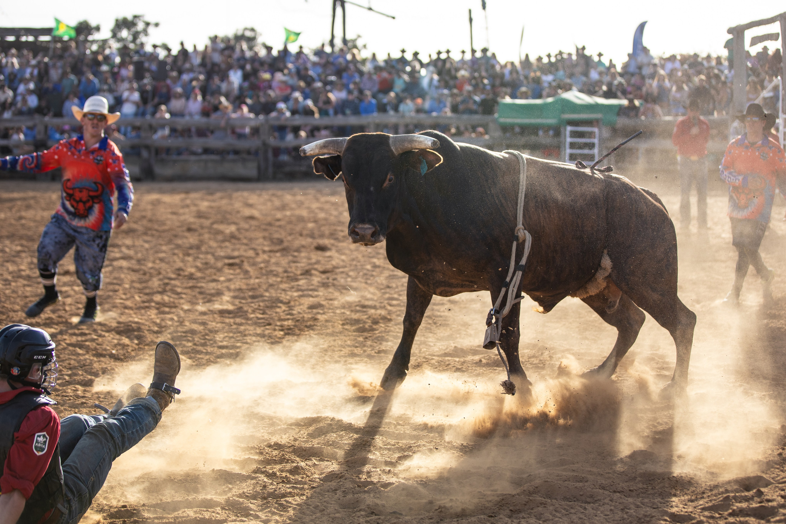 Selection of photos from different rodeos
