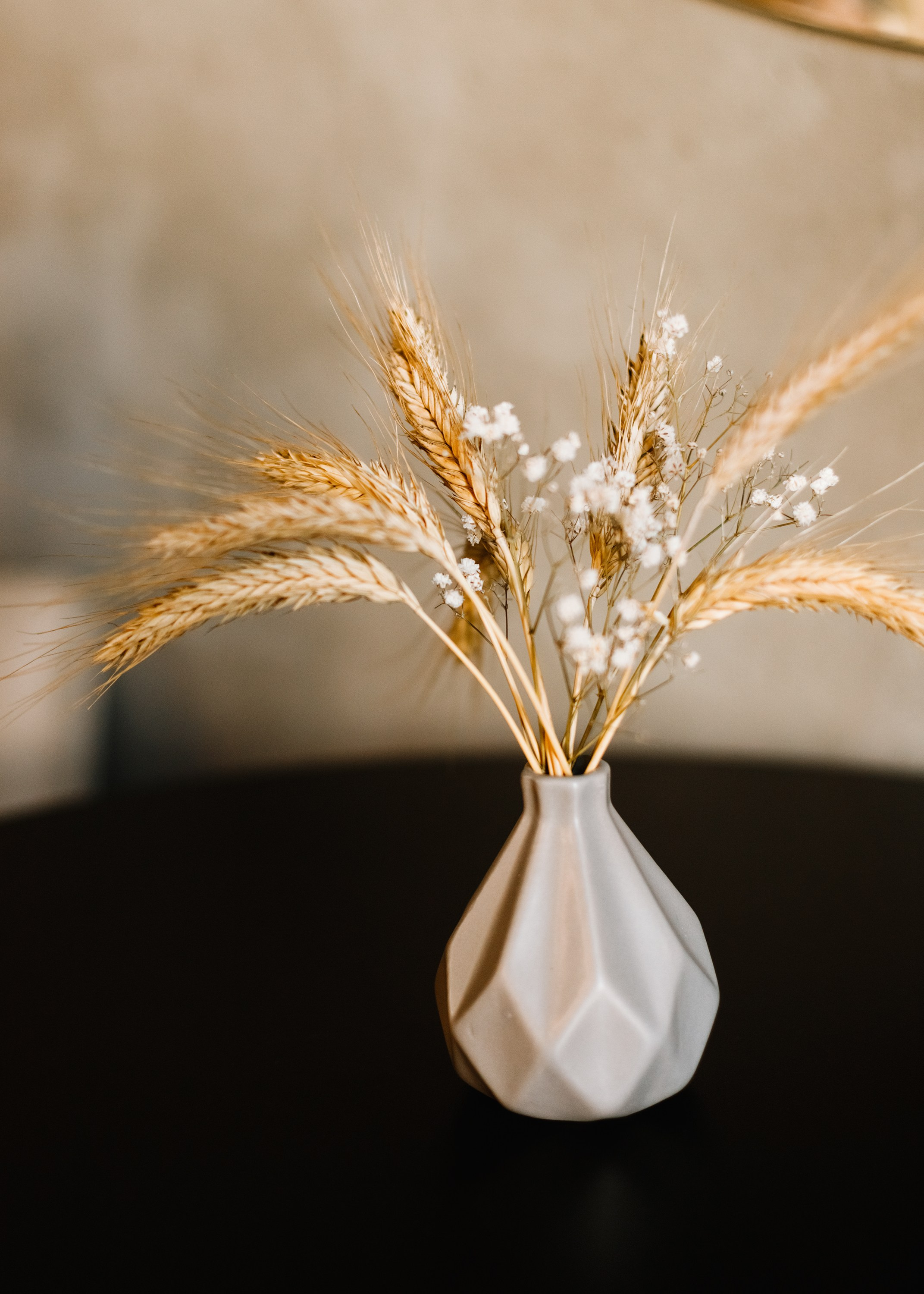 Evgenia & Richard. Kaja | fotograf we Wrocławiu | ludzie i psy